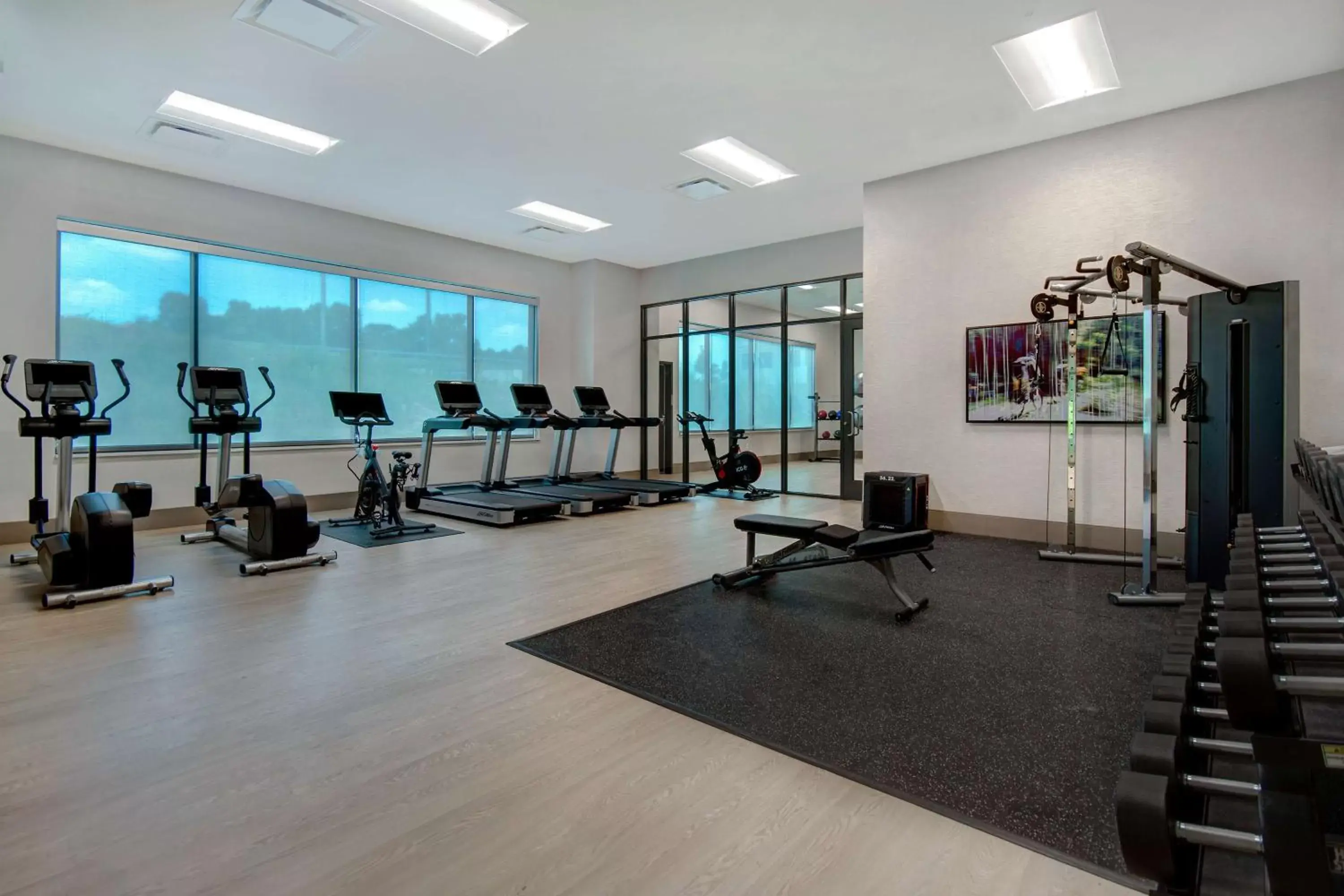 Fitness centre/facilities, Fitness Center/Facilities in Embassy Suites By Hilton Alpharetta Halcyon