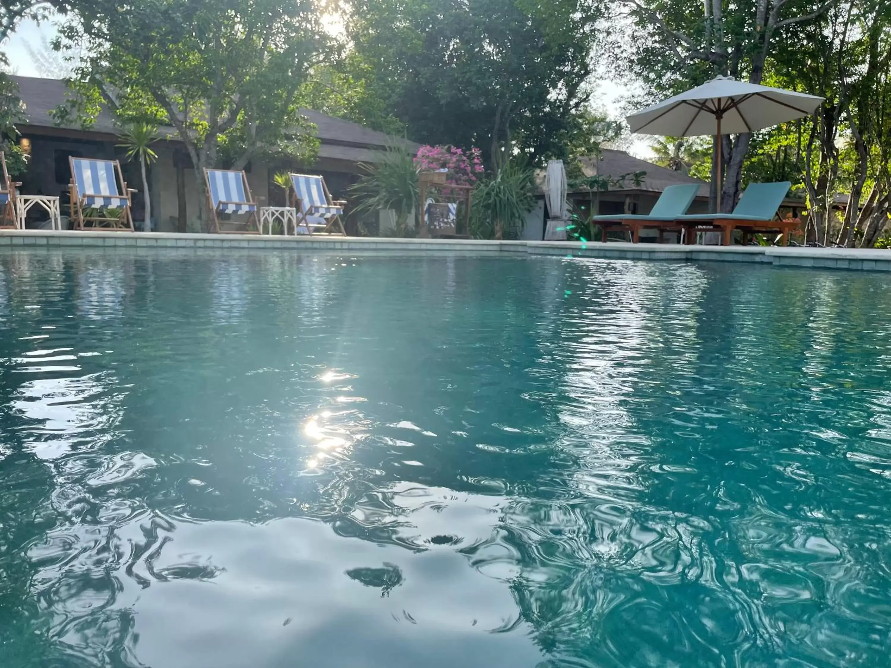 Swimming Pool in Wilson's Retreat