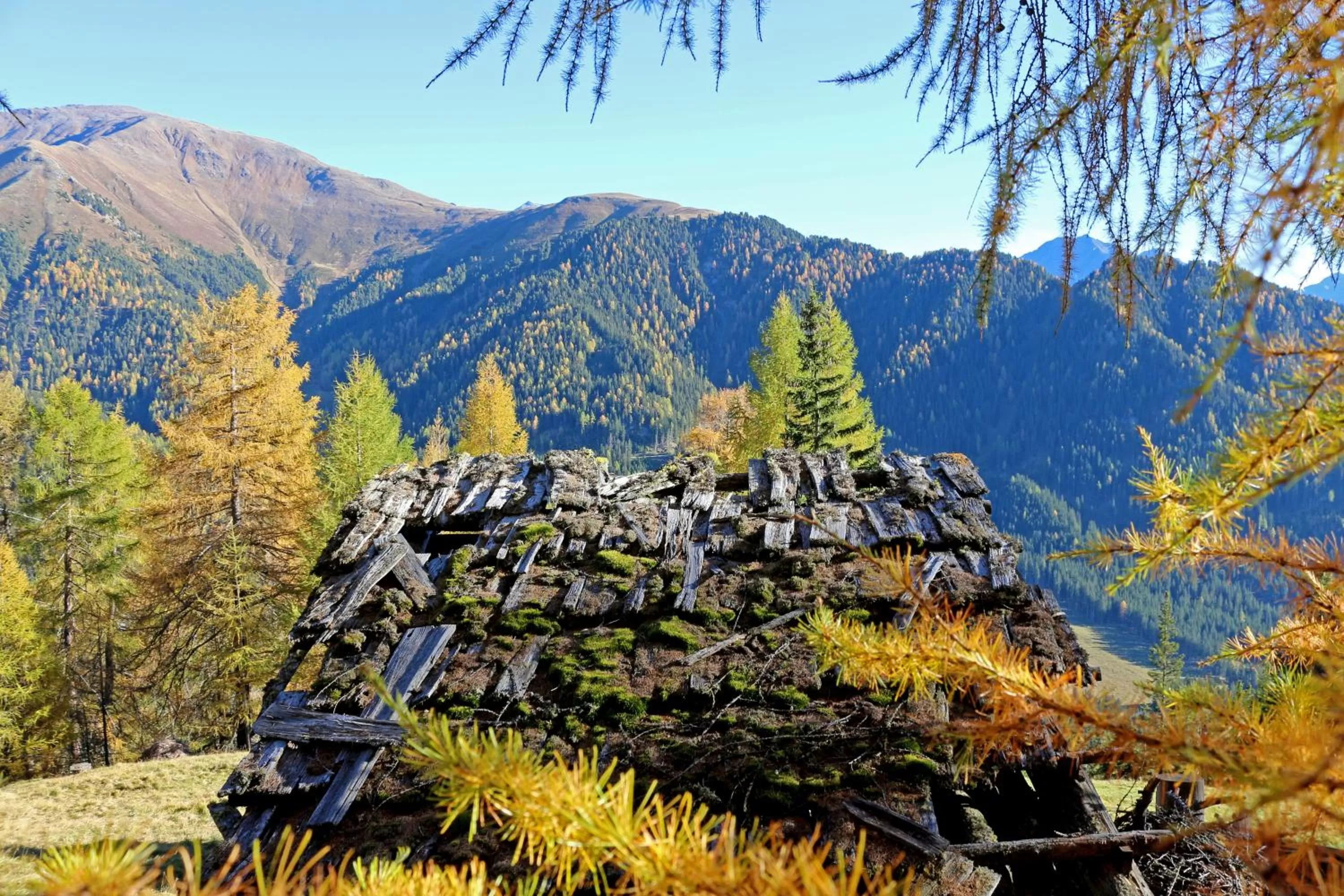 Natural landscape in Pension Fuchs