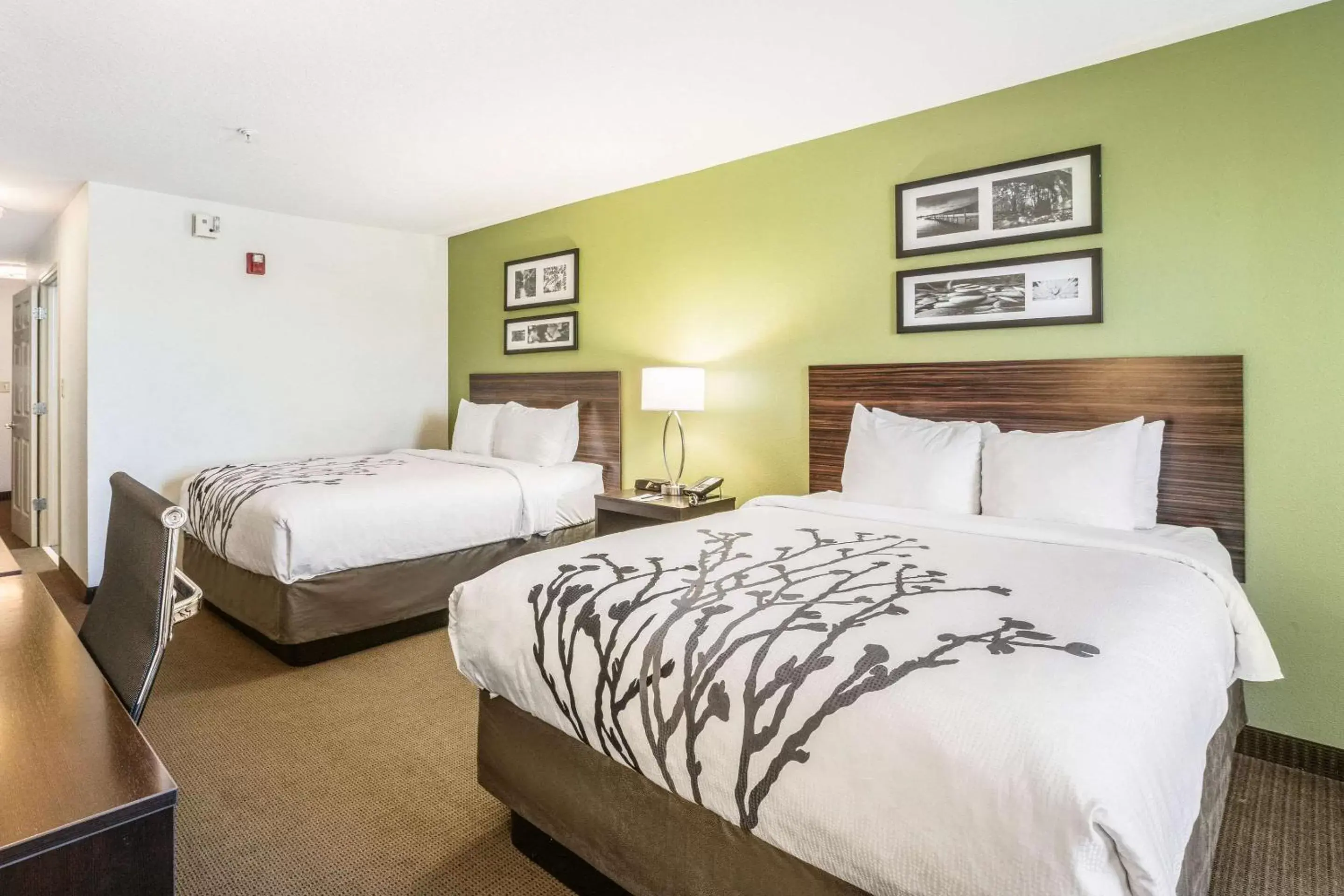 Photo of the whole room, Bed in Sleep Inn & Suites Hiram