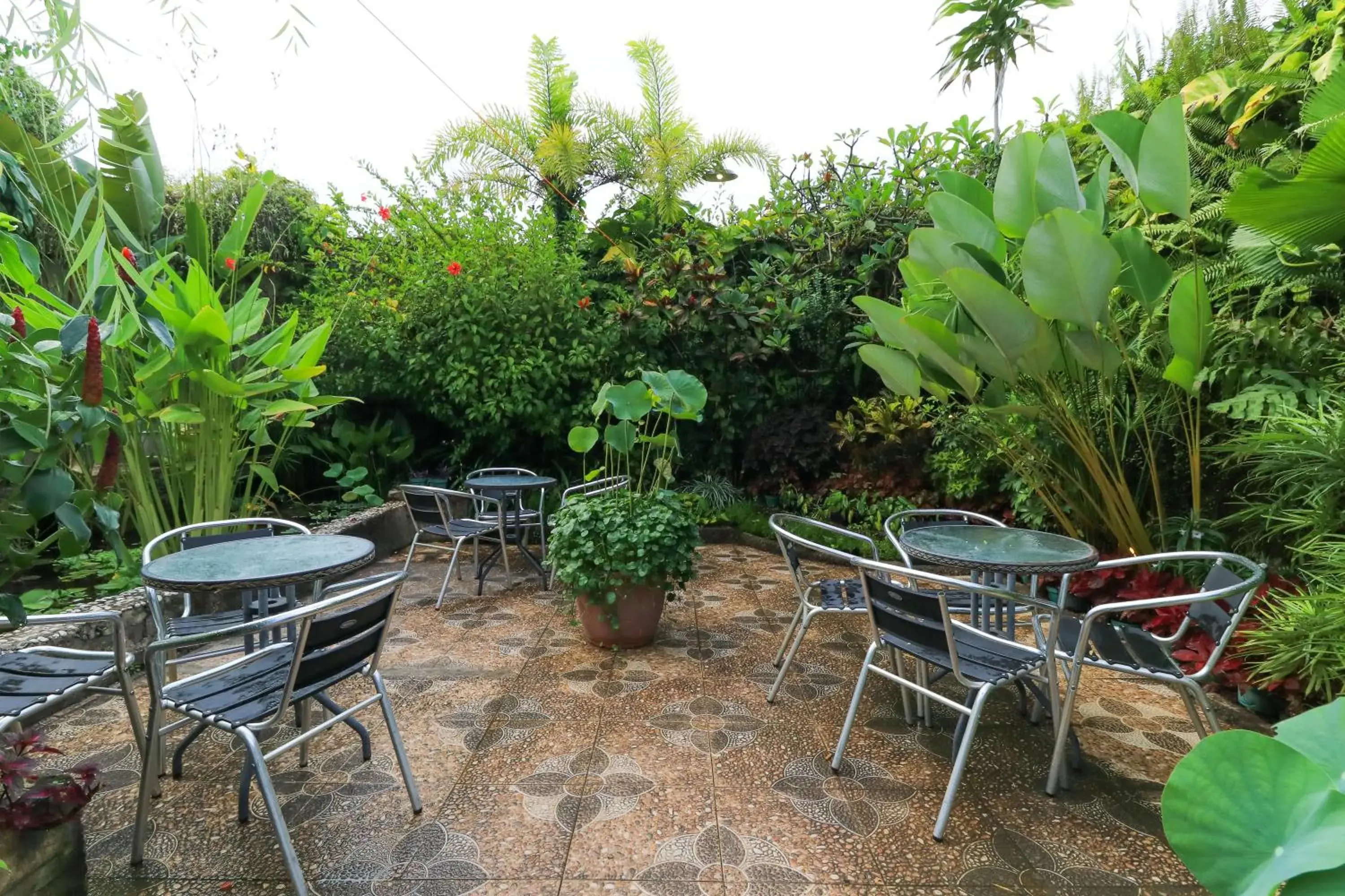 Patio, Patio/Outdoor Area in Labuana Homestay & Cafe Garden by ZUZU