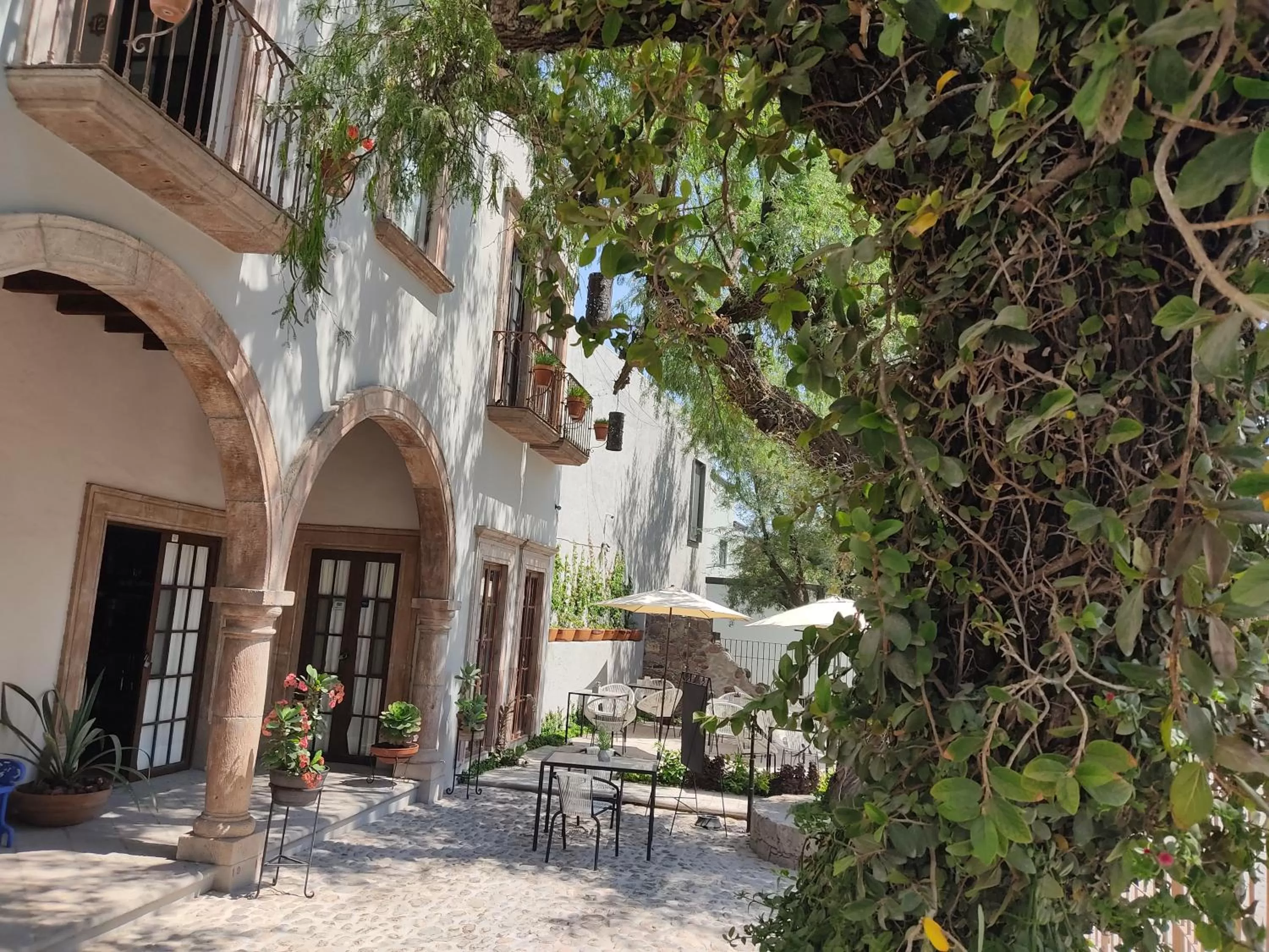 Patio in Casa Goyri San Miguel de Allende