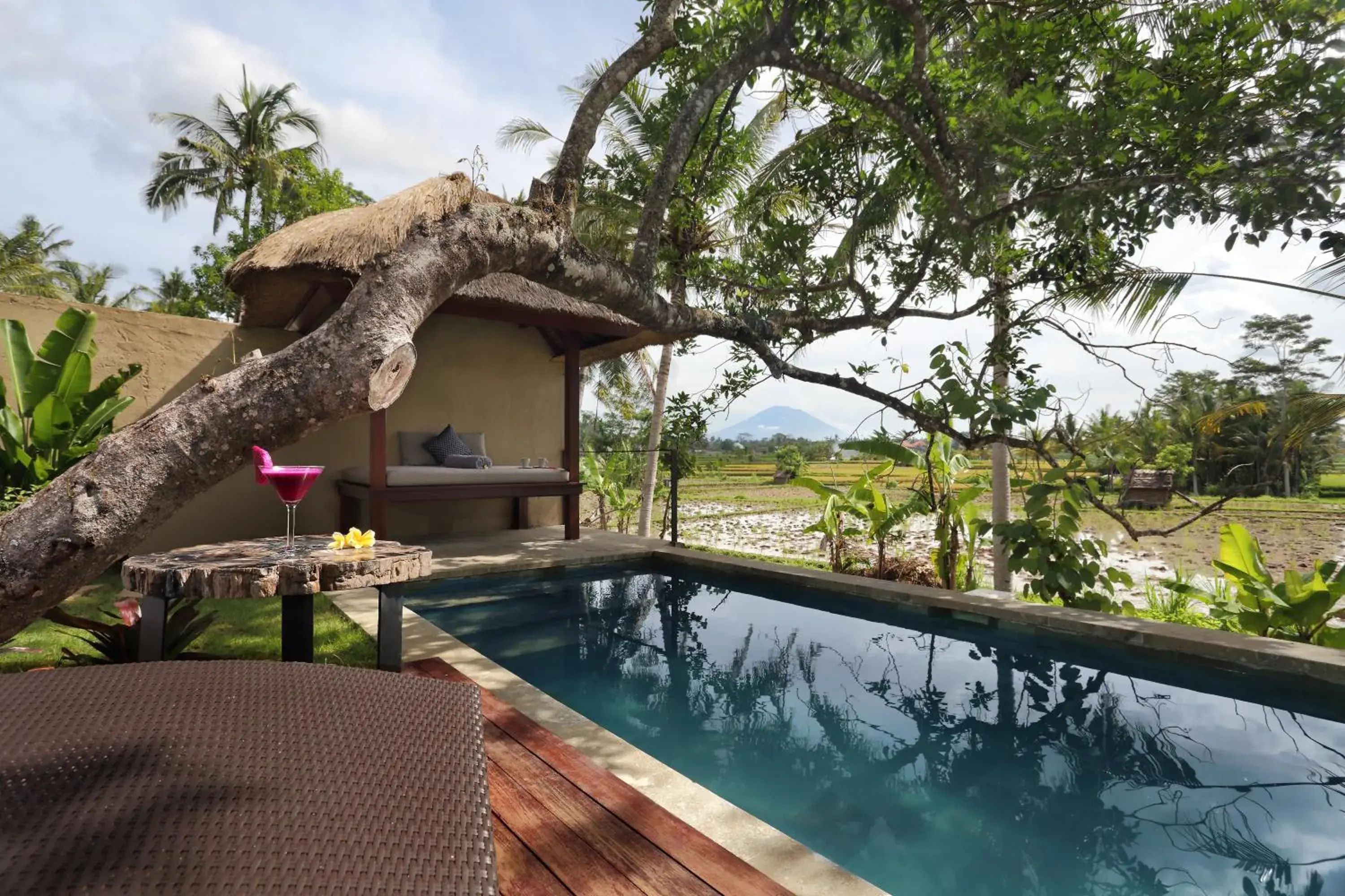 Natural landscape, Swimming Pool in Temuku Villas Ubud - CHSE Certified