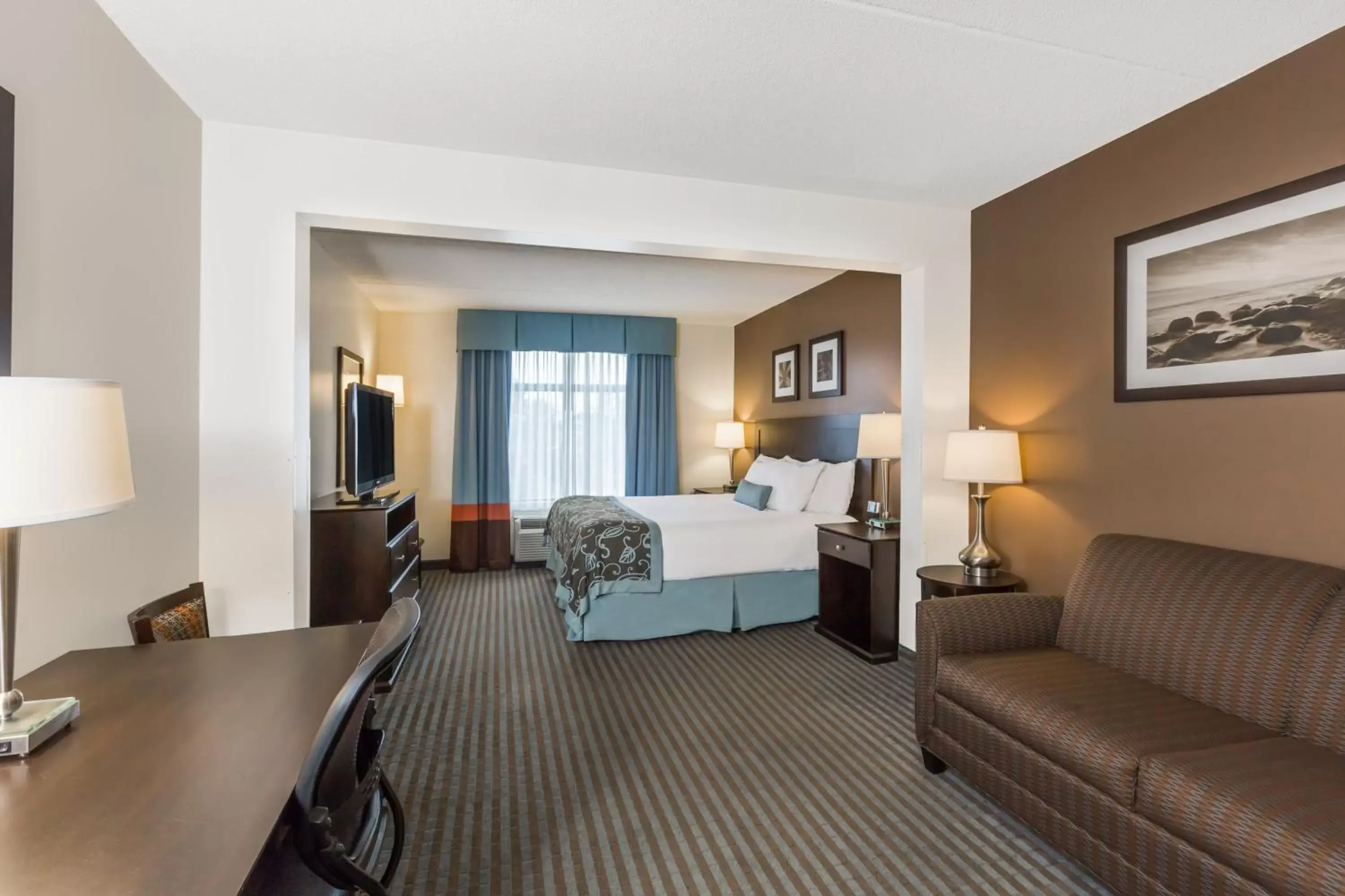King Room - Non-Smoking in Wingate by Wyndham Wilmington