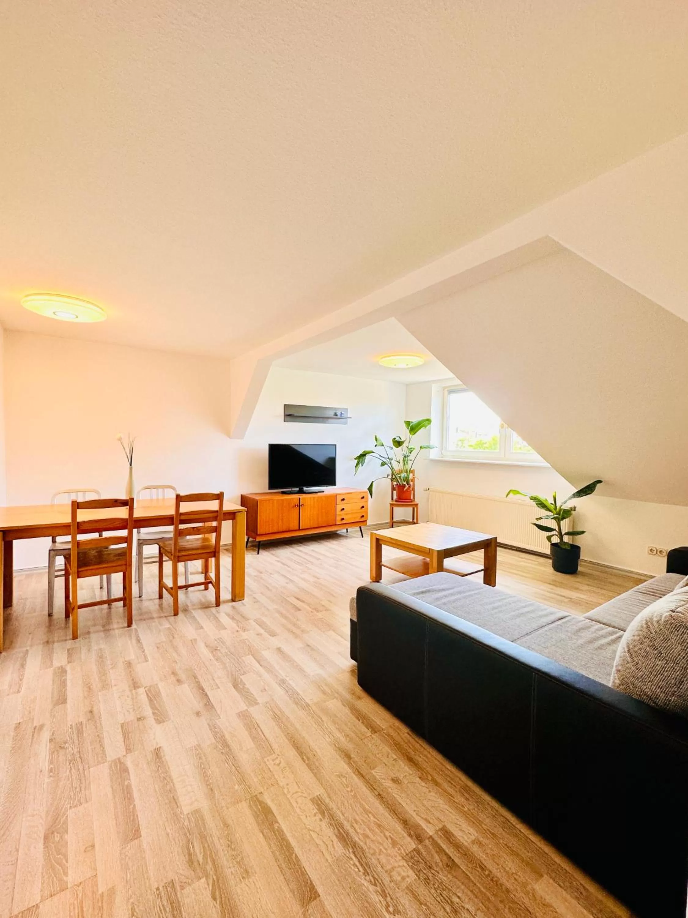 Saale, Marktplatz Zentrum, Apartmenthaus am Dom von Plant Room