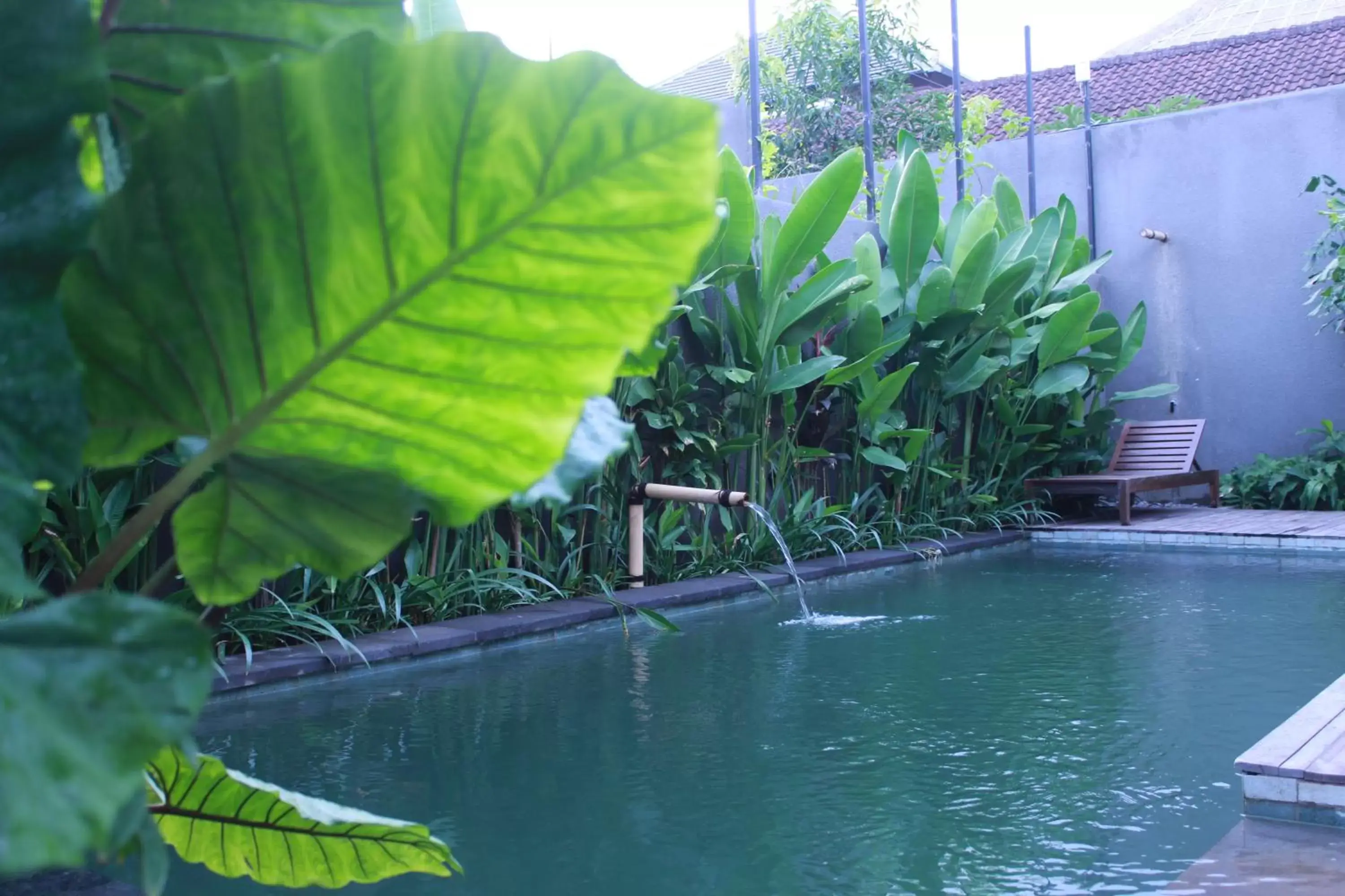 Pool view, Swimming Pool in Purana Boutique Resort