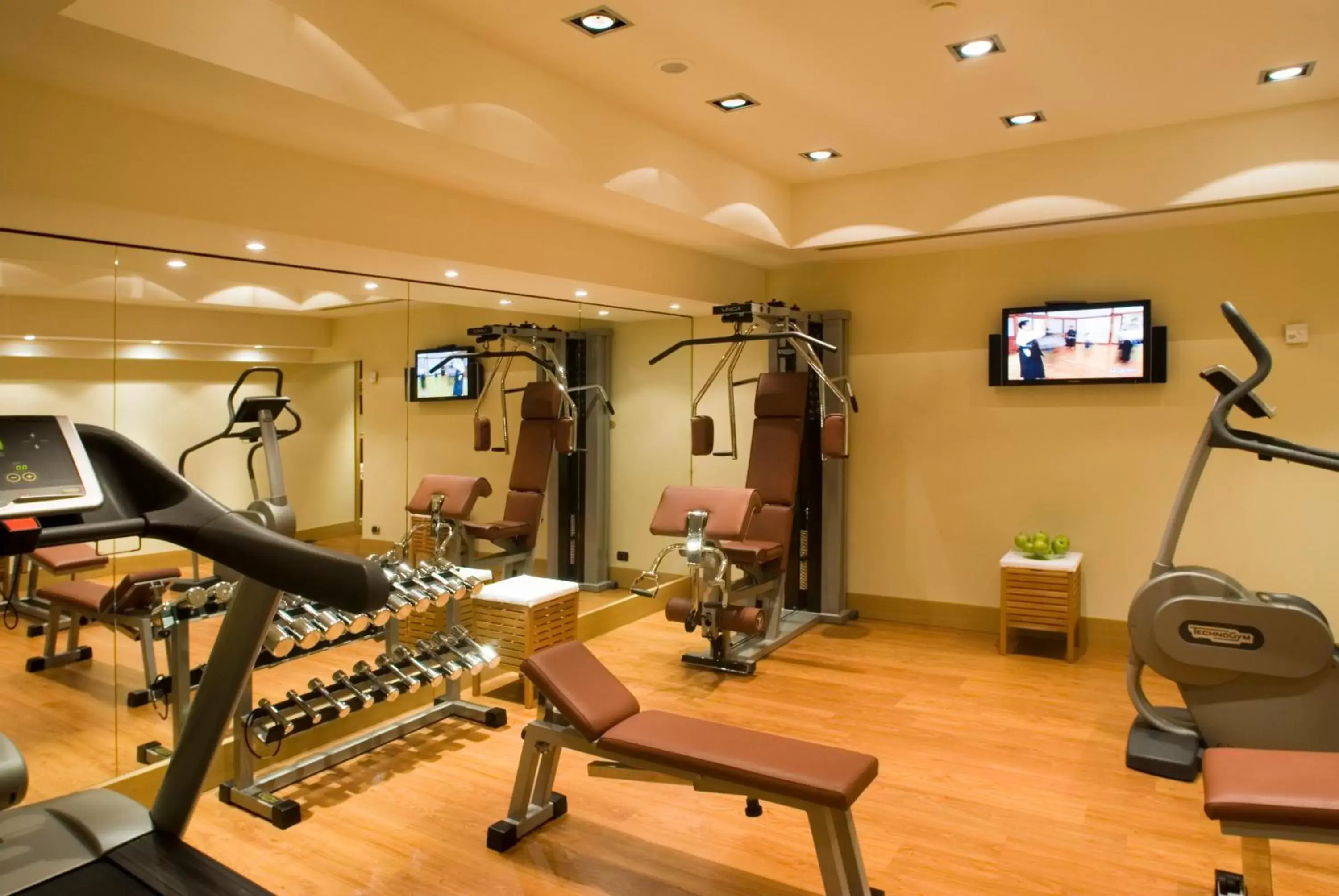 Fitness centre/facilities, Fitness Center/Facilities in Starhotels Metropole