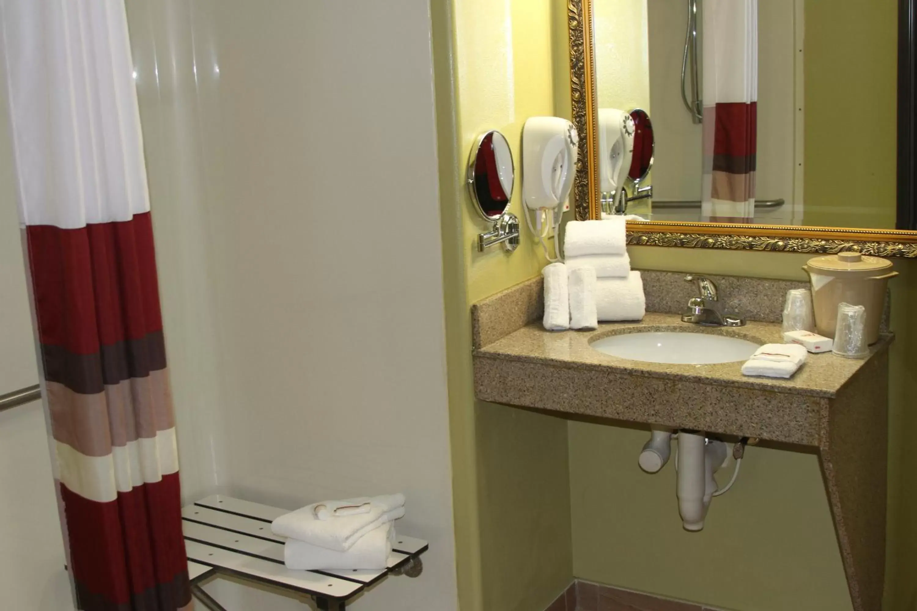 Bathroom in Red Roof Inn & Suites Detroit - Melvindale/Dearborn