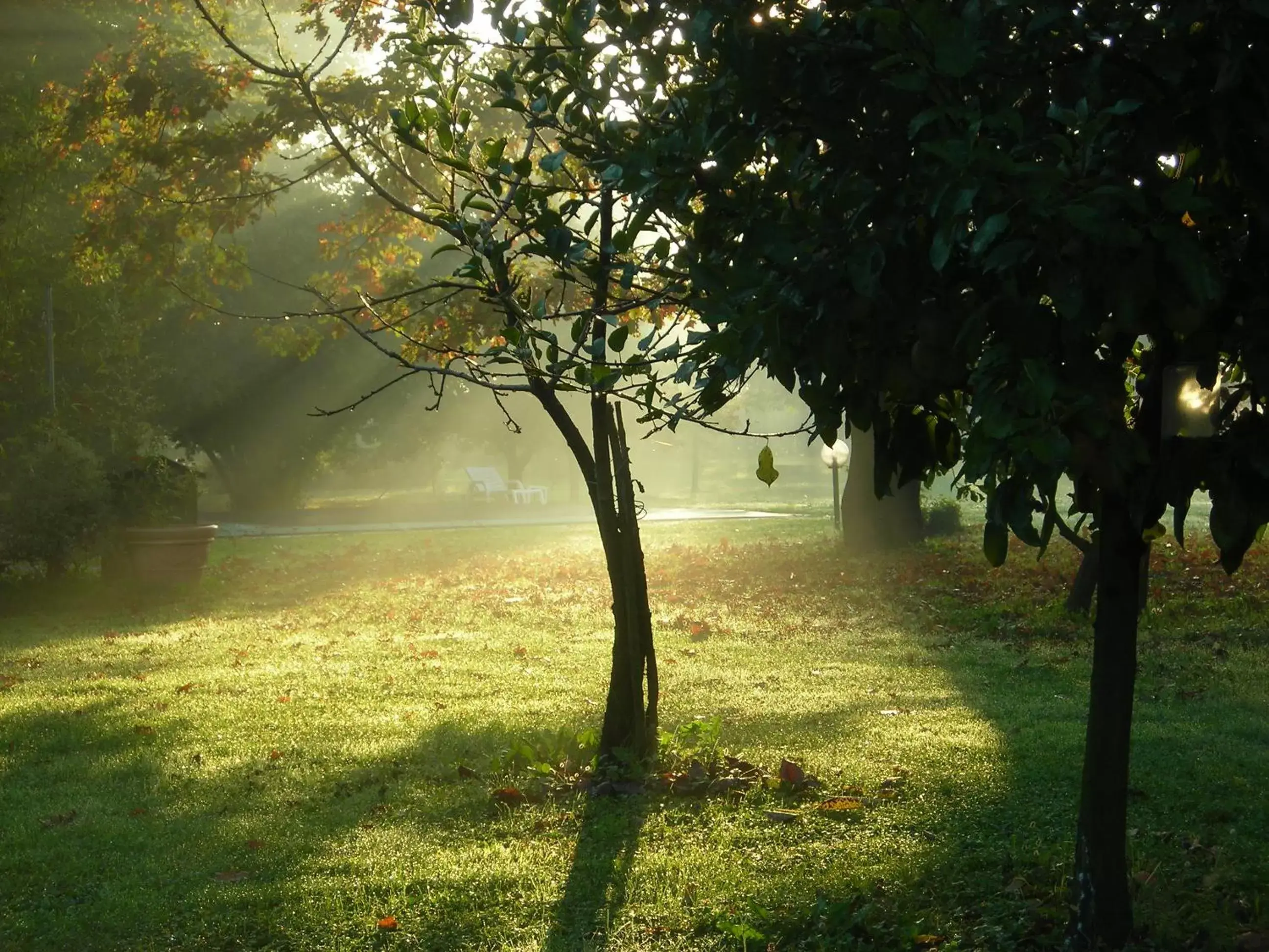 Autumn in SoloQui