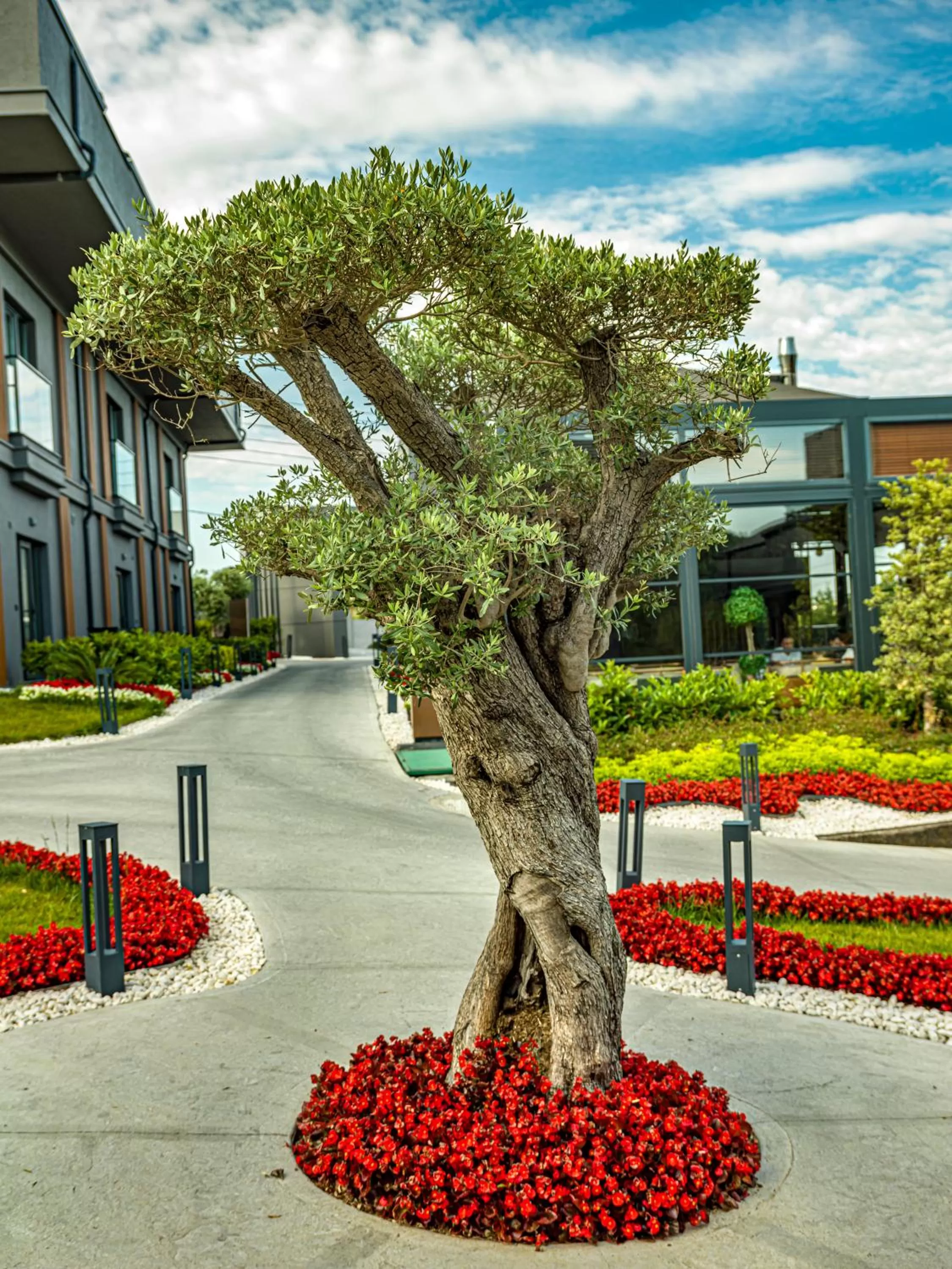 Garden in MENALO HOTEL PREMIUM ISTANBUL AIRPORT