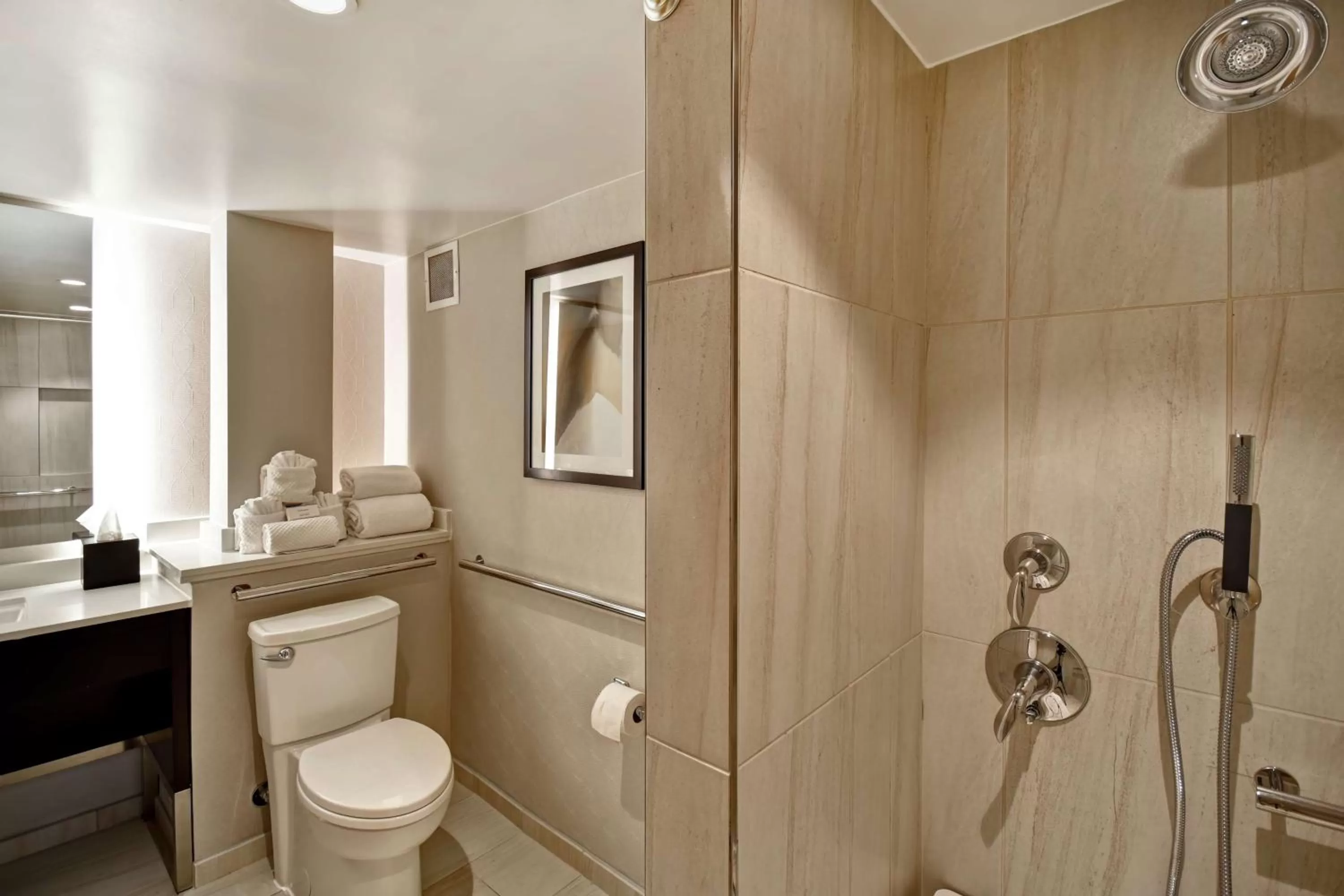 Bathroom in Embassy Suites by Hilton Raleigh Durham Research Triangle