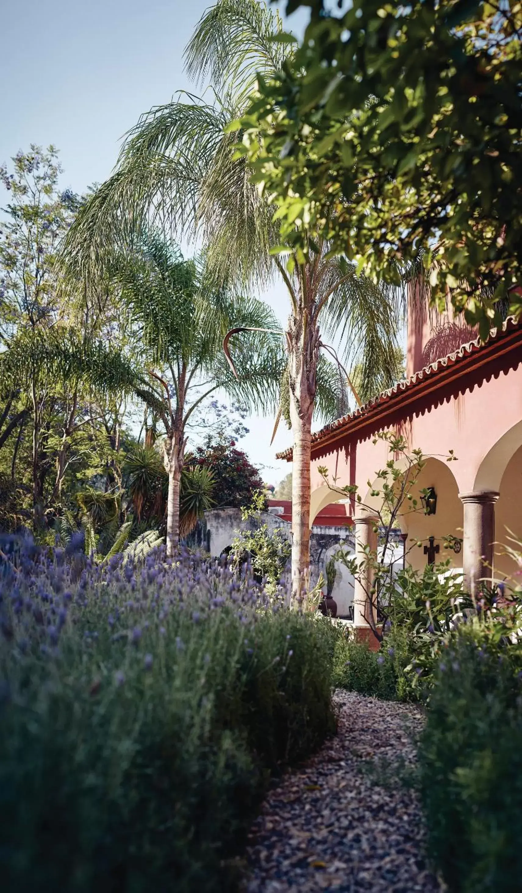 Garden, Property Building in Casa de Sierra Nevada, A Belmond Hotel, San Miguel de Allende