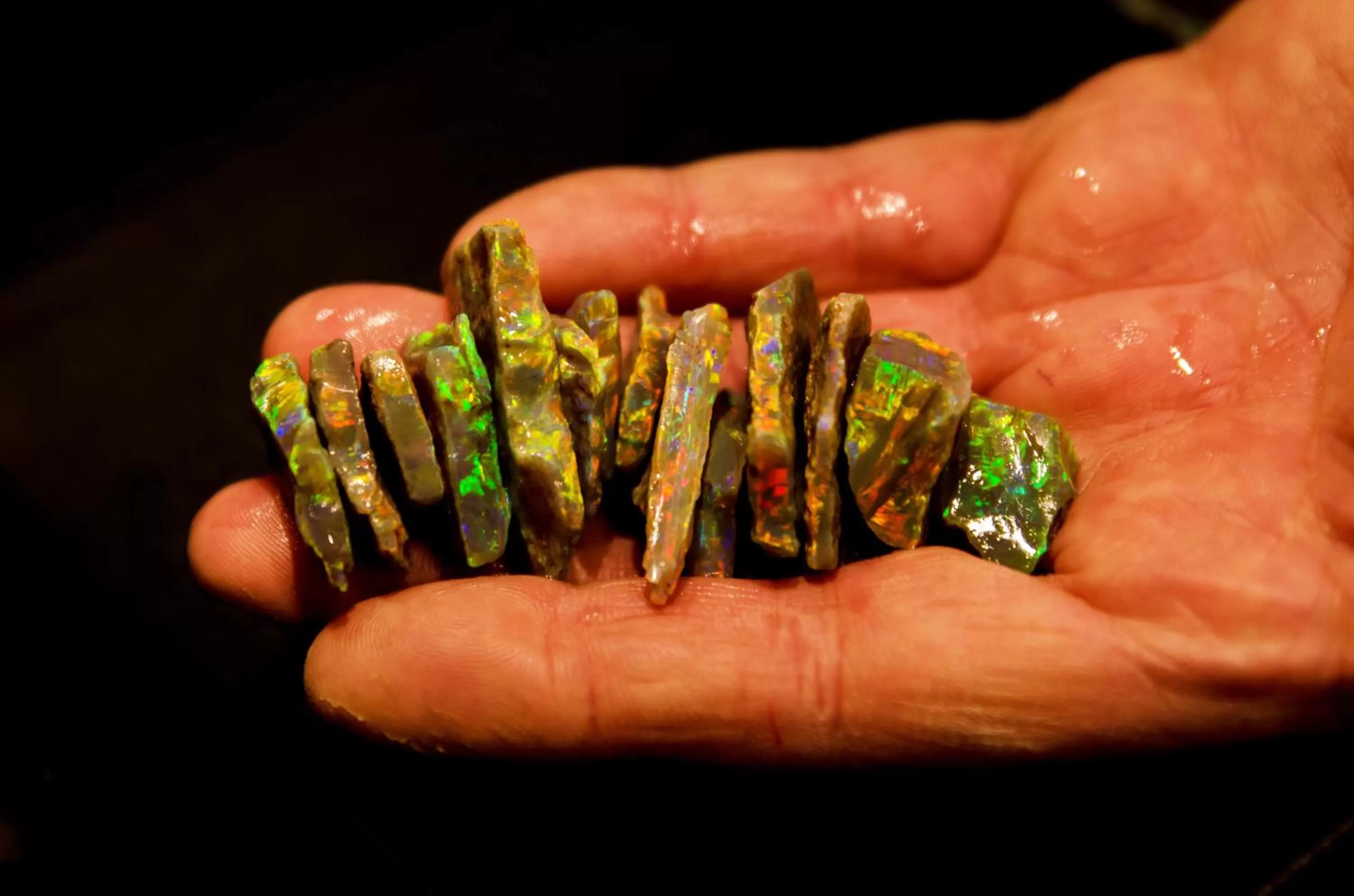 Other in Opal Inn Hotel, Motel, Caravan Park