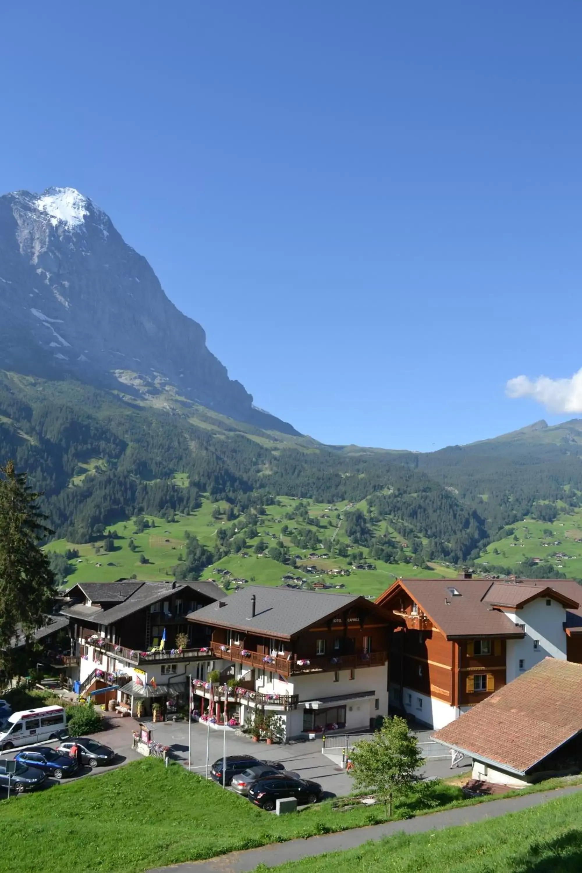 Facade/entrance, Mountain View in Hotel Caprice - Grindelwald