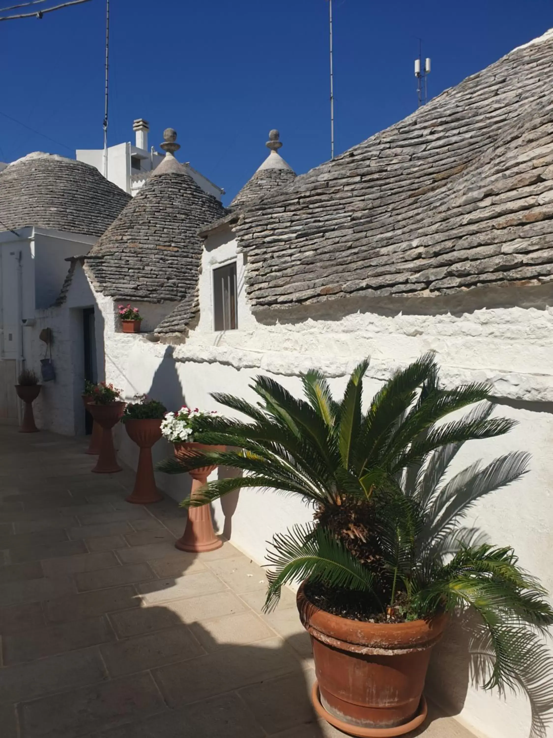 Garden view, Property Building in Giardino Dei Trulli