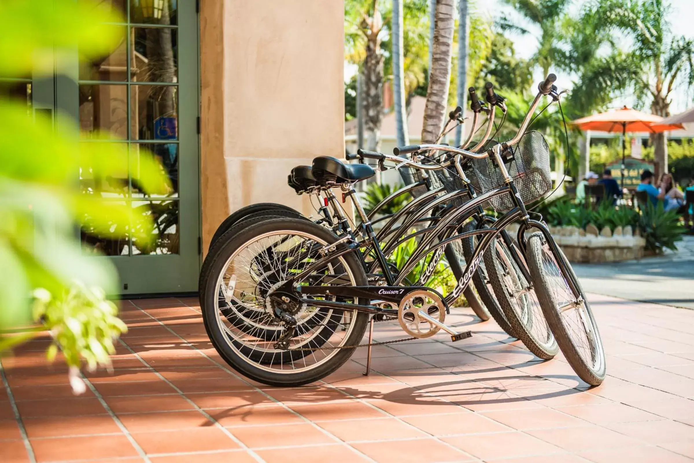 Cycling, Other Activities in Brisas Del Mar Inn at the Beach