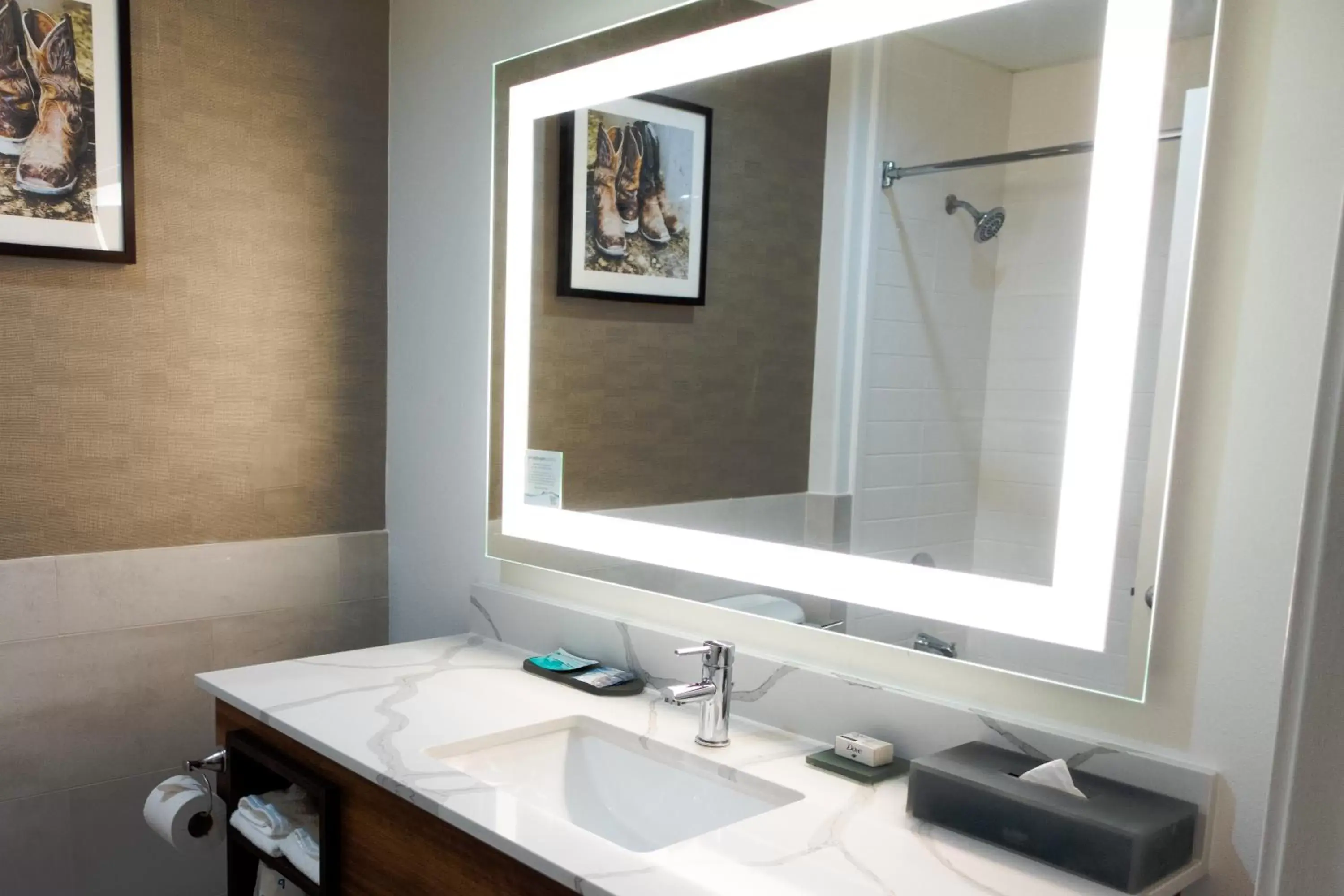 Bathroom in La Quinta Inn & Suites by Wyndham Pharr RGV Medical Center