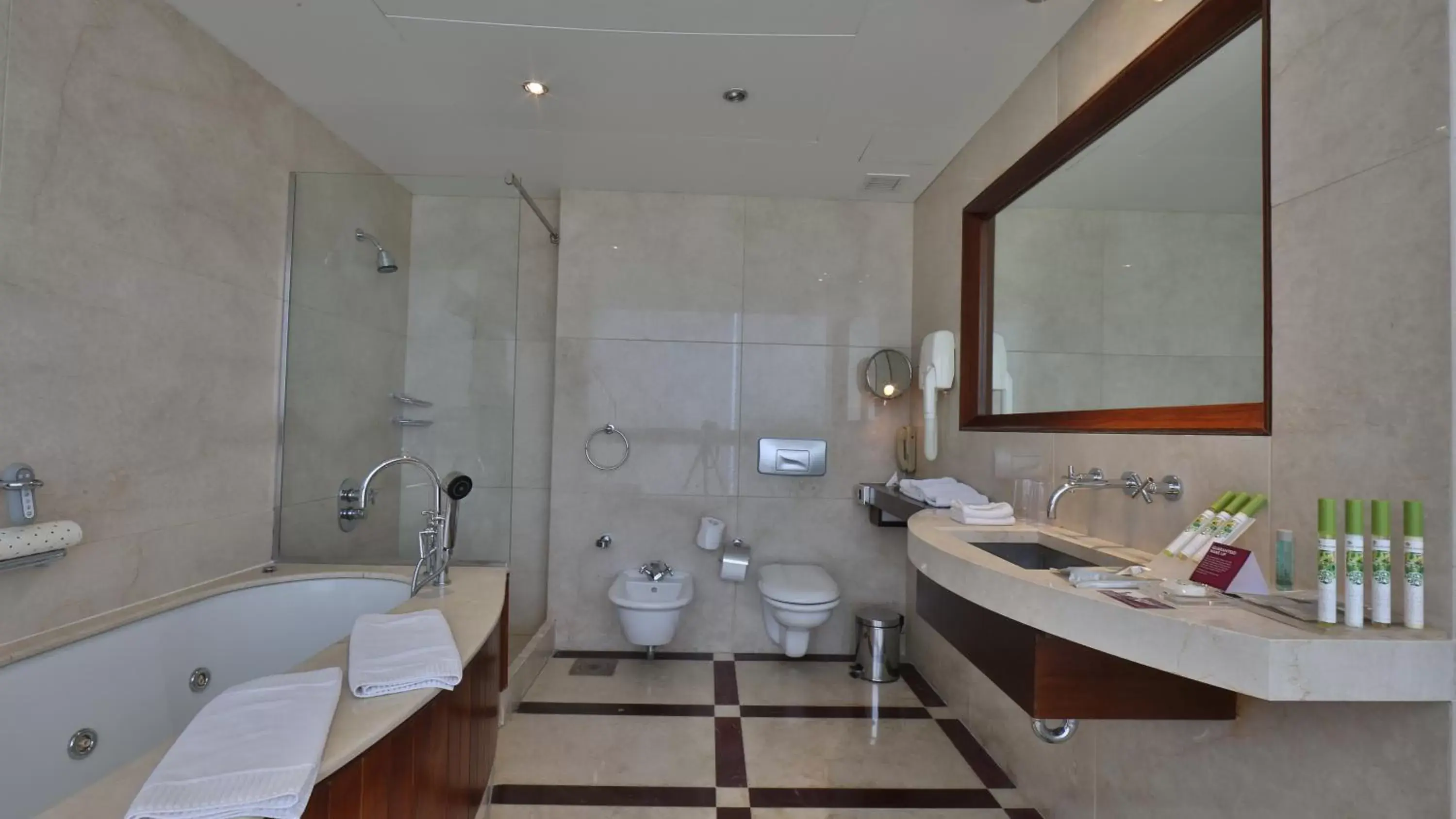 Bathroom in Crowne Plaza Hamra Beirut, an IHG Hotel