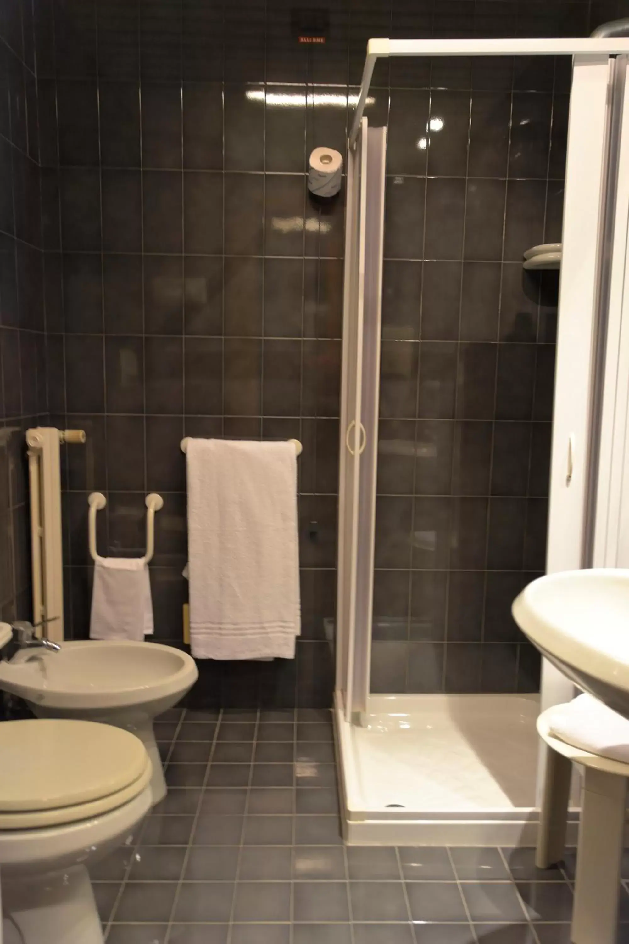 Shower, Bathroom in Grand Hotel Tiziano E Dei Congressi