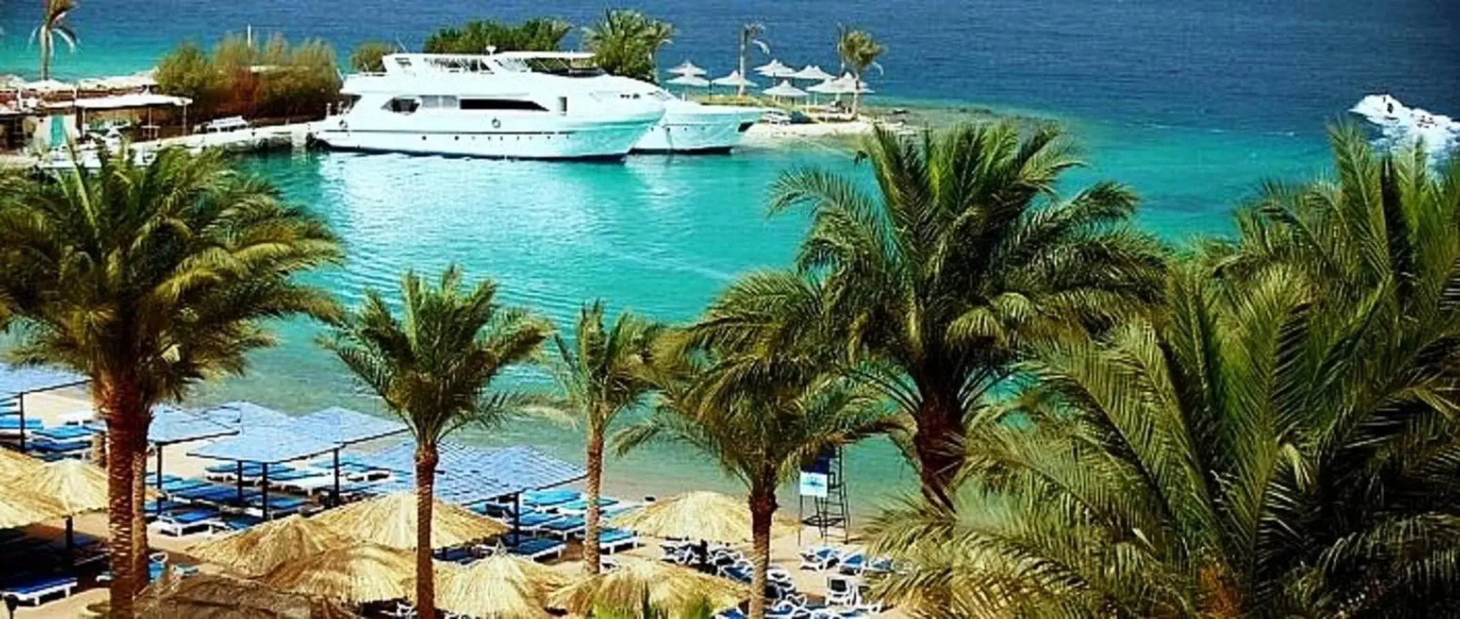 Beach in ZYA Regina Resort and Aqua Park Hurghada