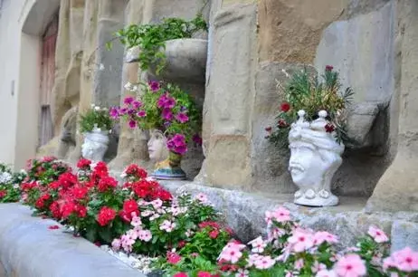 Garden in Nnakkara Guest House