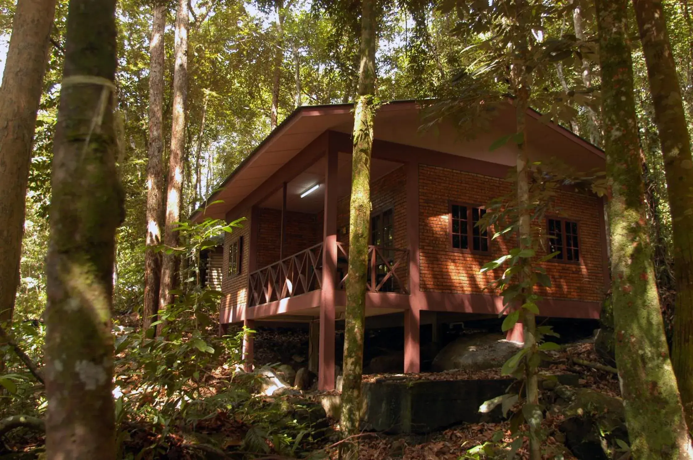 Facade/entrance, Property Building in Permai Rainforest Resort