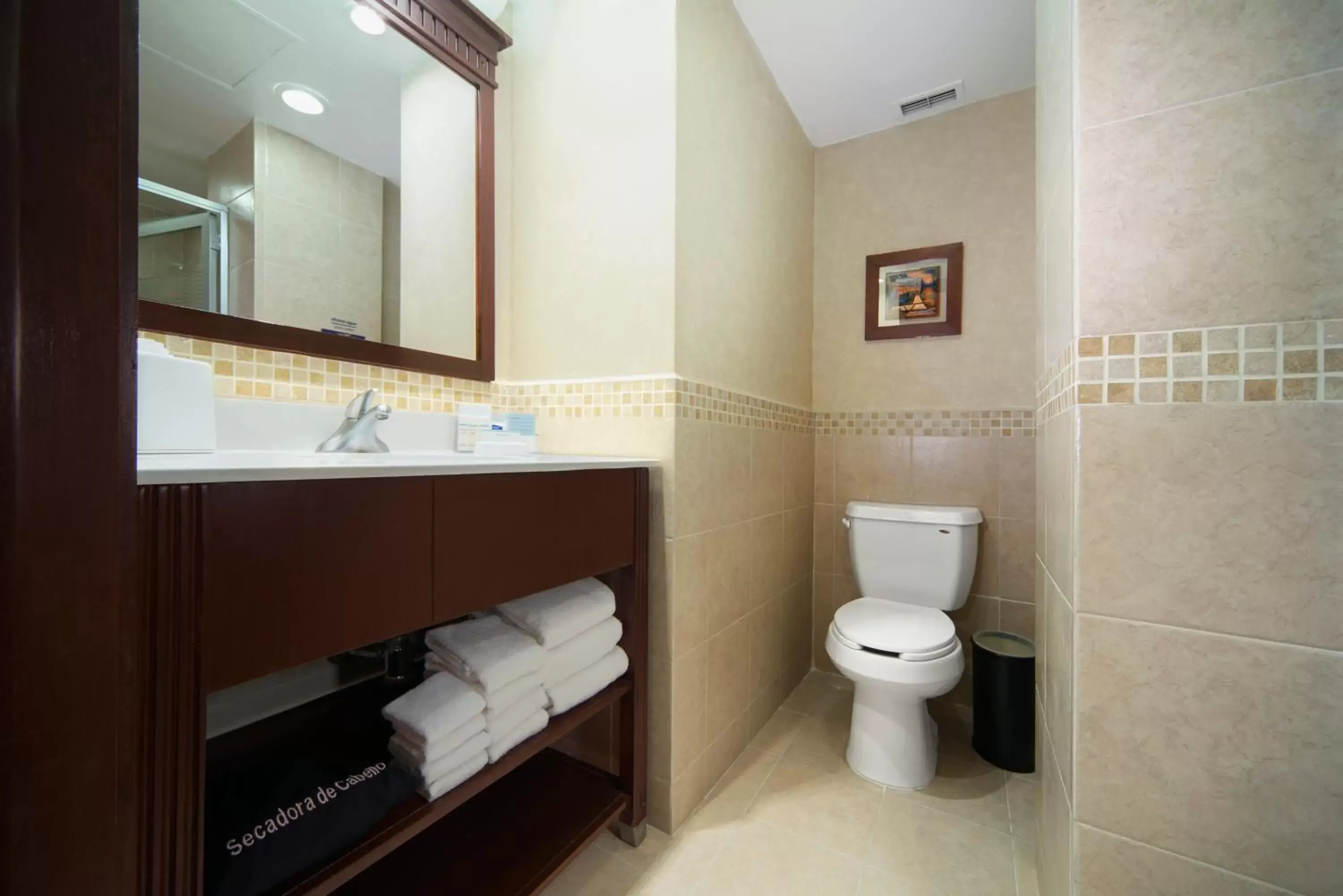 Bathroom in Hampton Inn & Suites Mexico City - Centro Historico