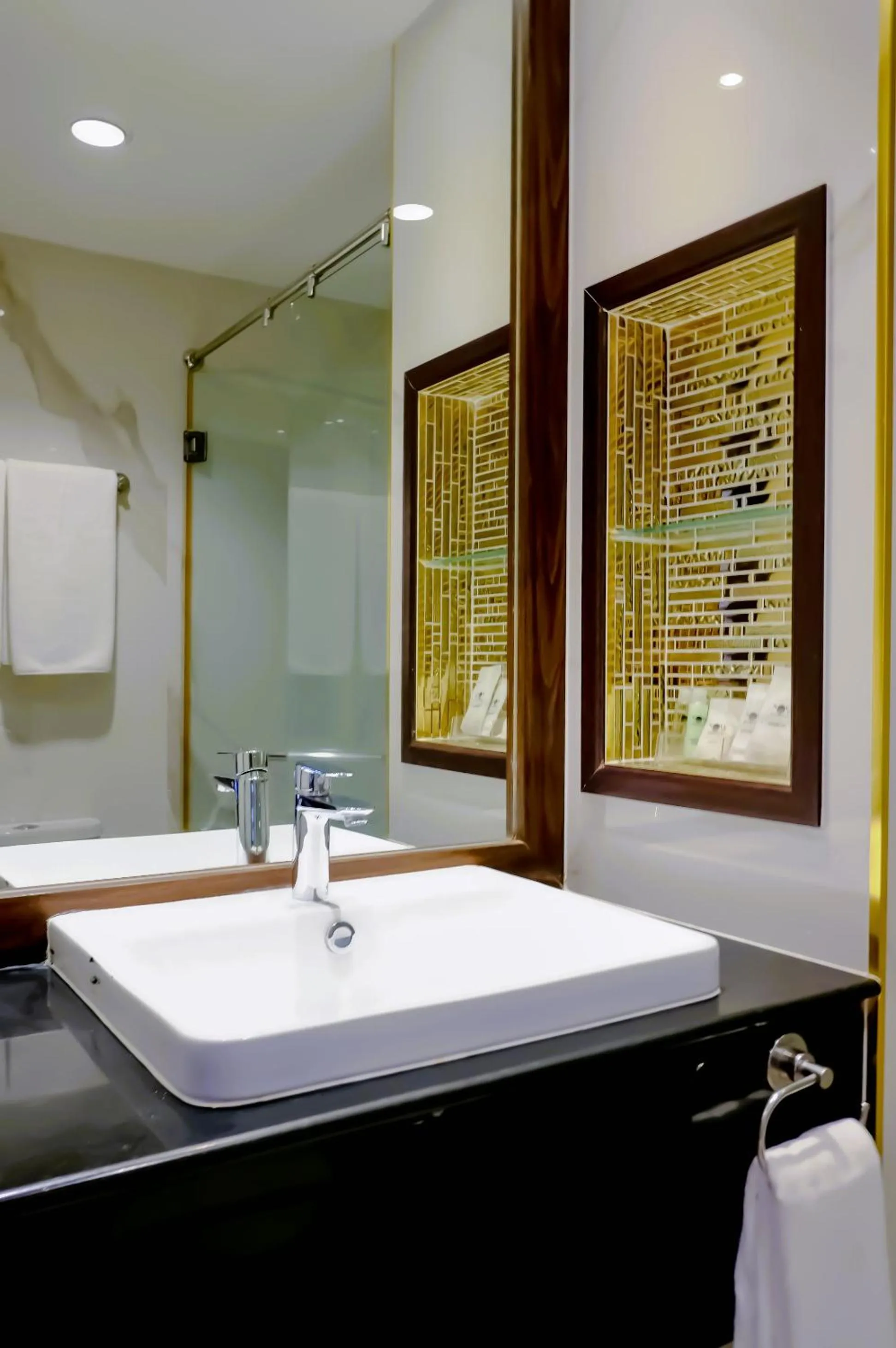 Shower in Nova Platinum Hotel