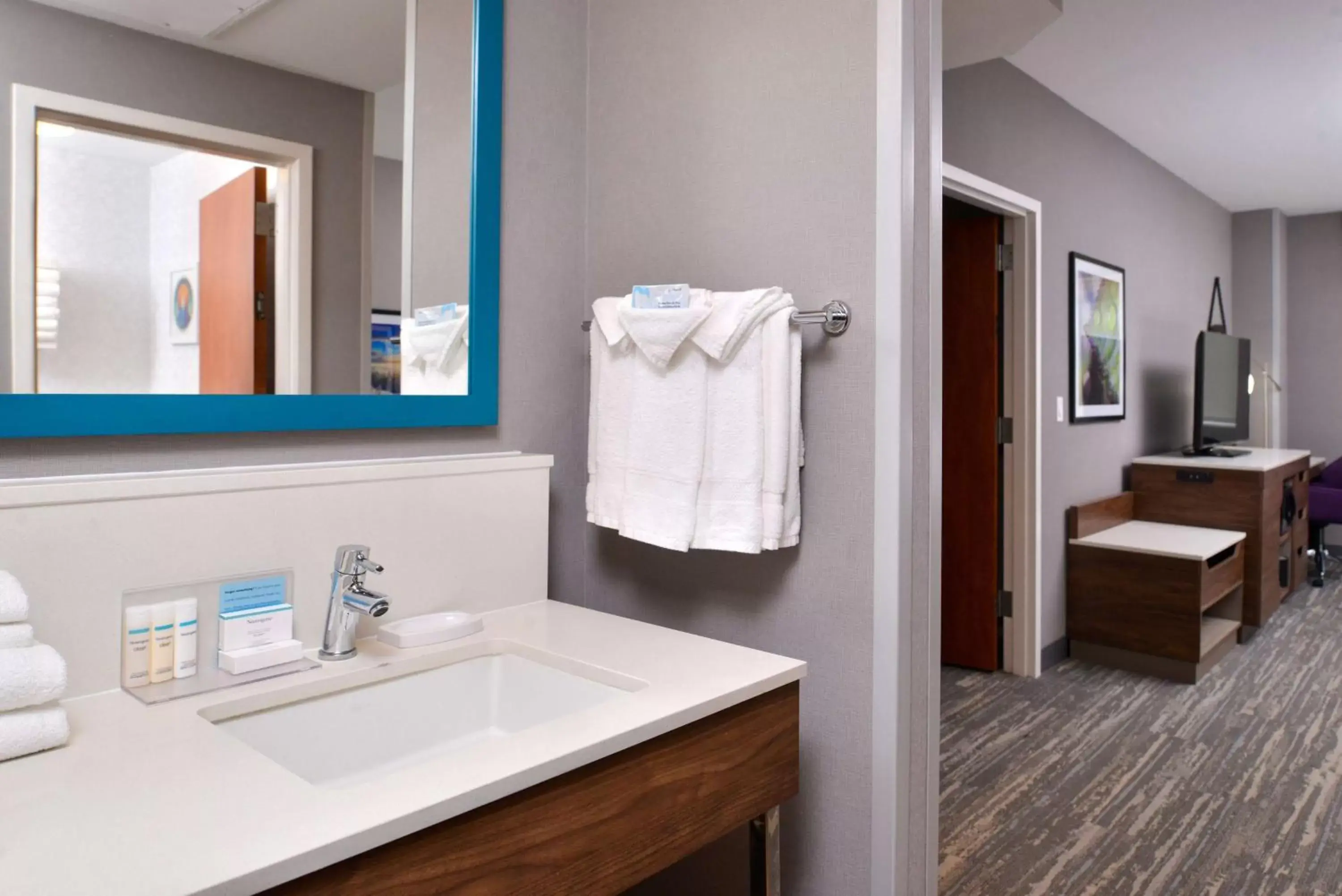 Bathroom in Hampton Inn & Suites Boise/Spectrum