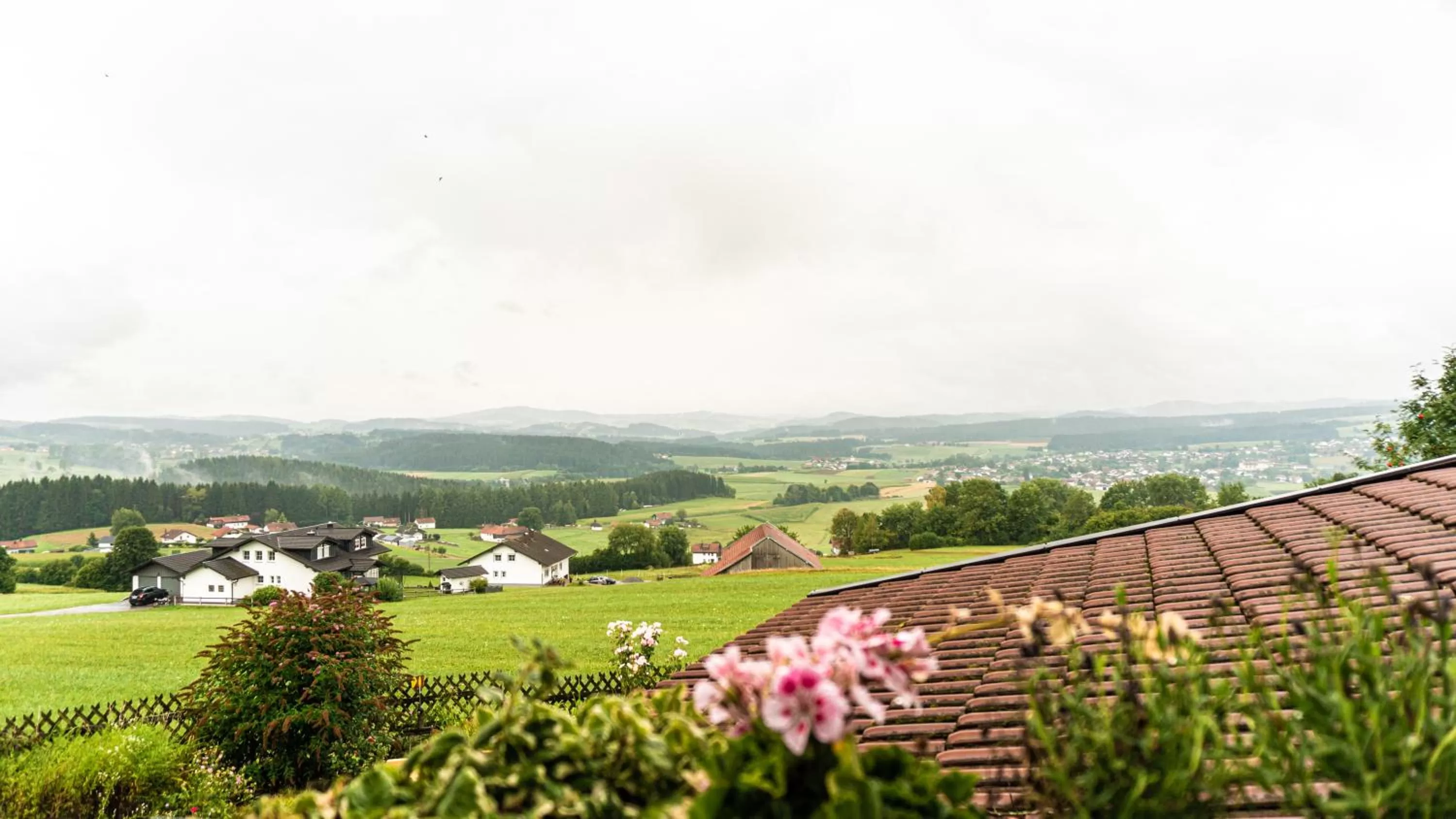 Property building in Hotel "Haus am Berg"