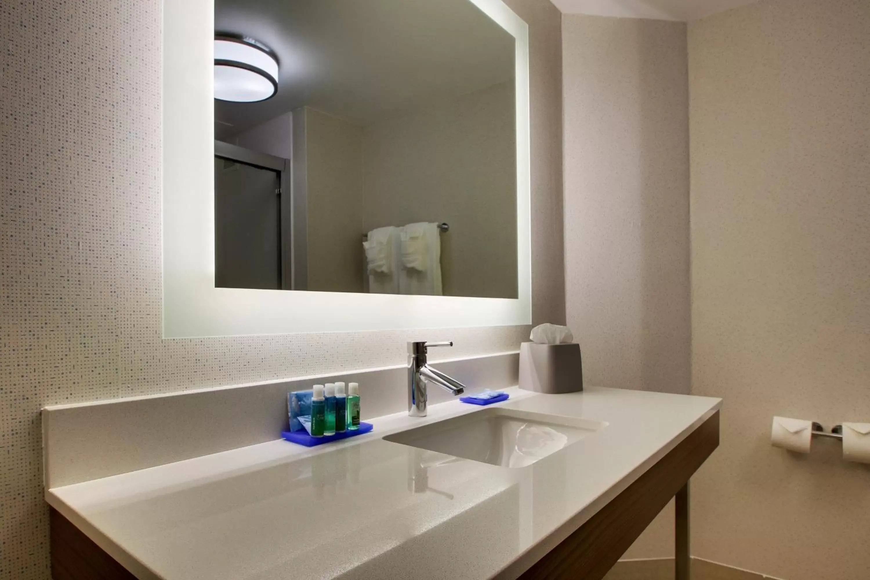 Bathroom in Holiday Inn Express Voorhees/ Mt. Laurel, an IHG Hotel