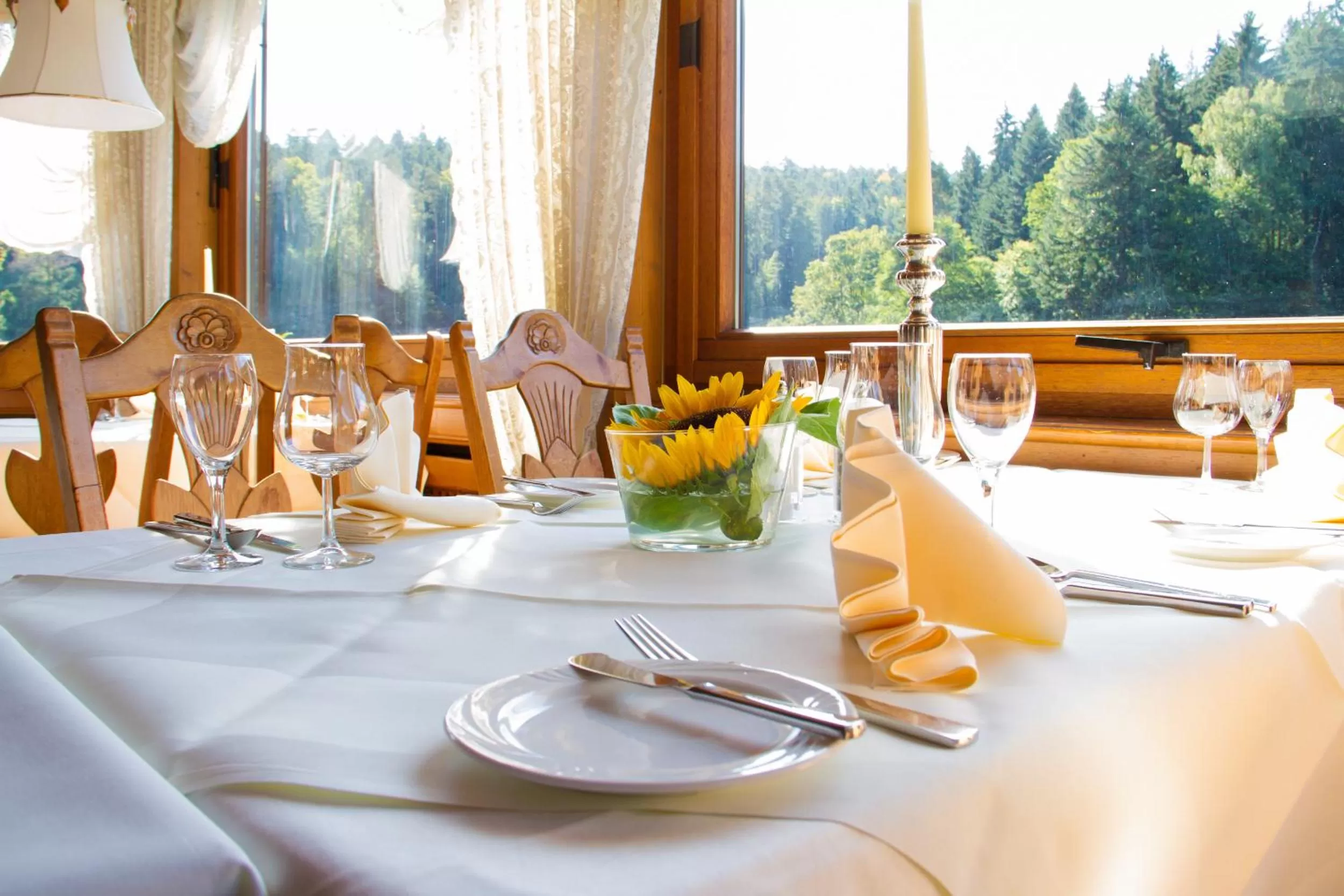 Restaurant/places to eat in Ringhotel Mönch`s Waldhotel