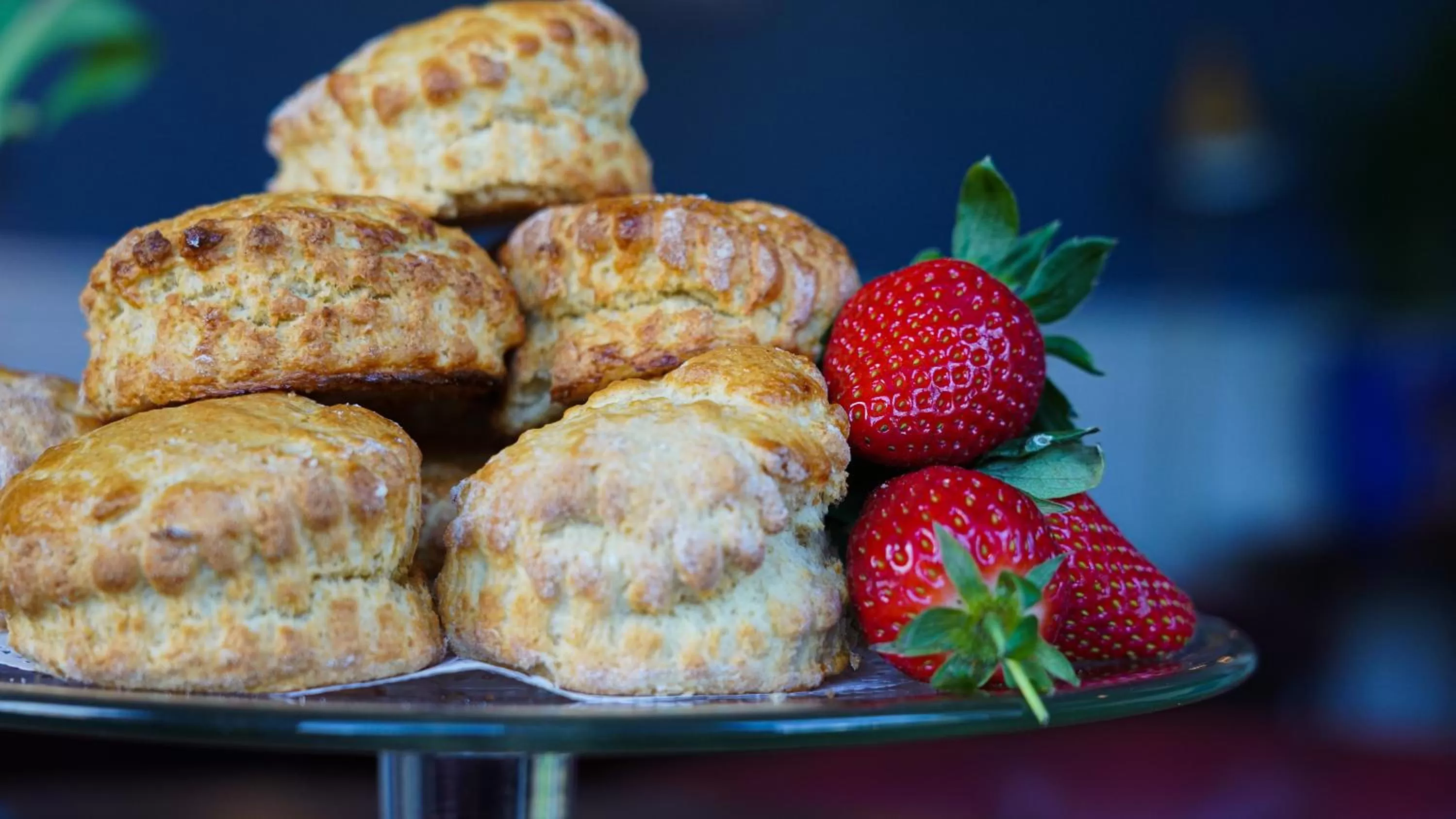 Bourne Hall Country Hotel