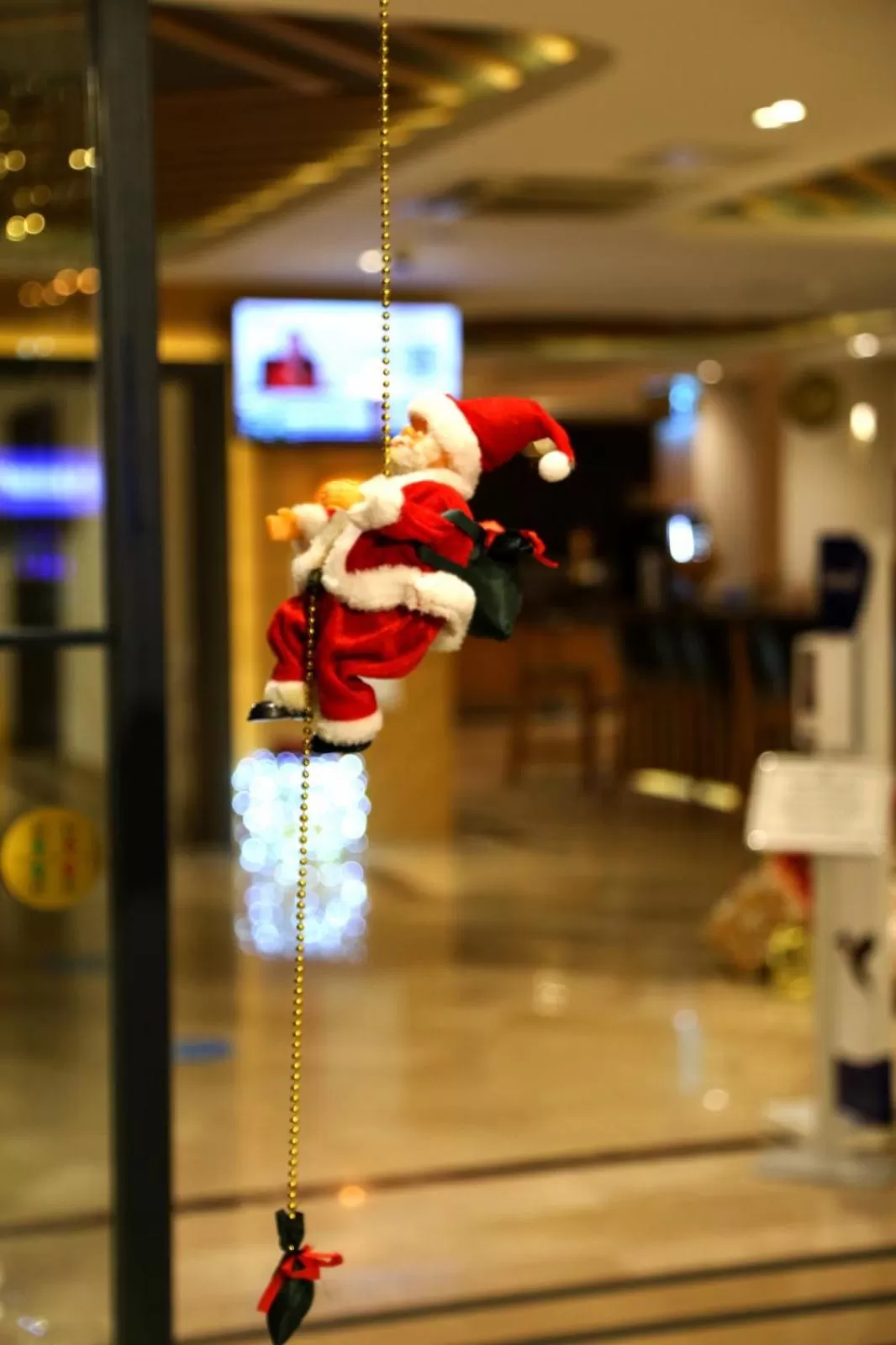 View (from property/room) in Sealife Lounge - Adult only