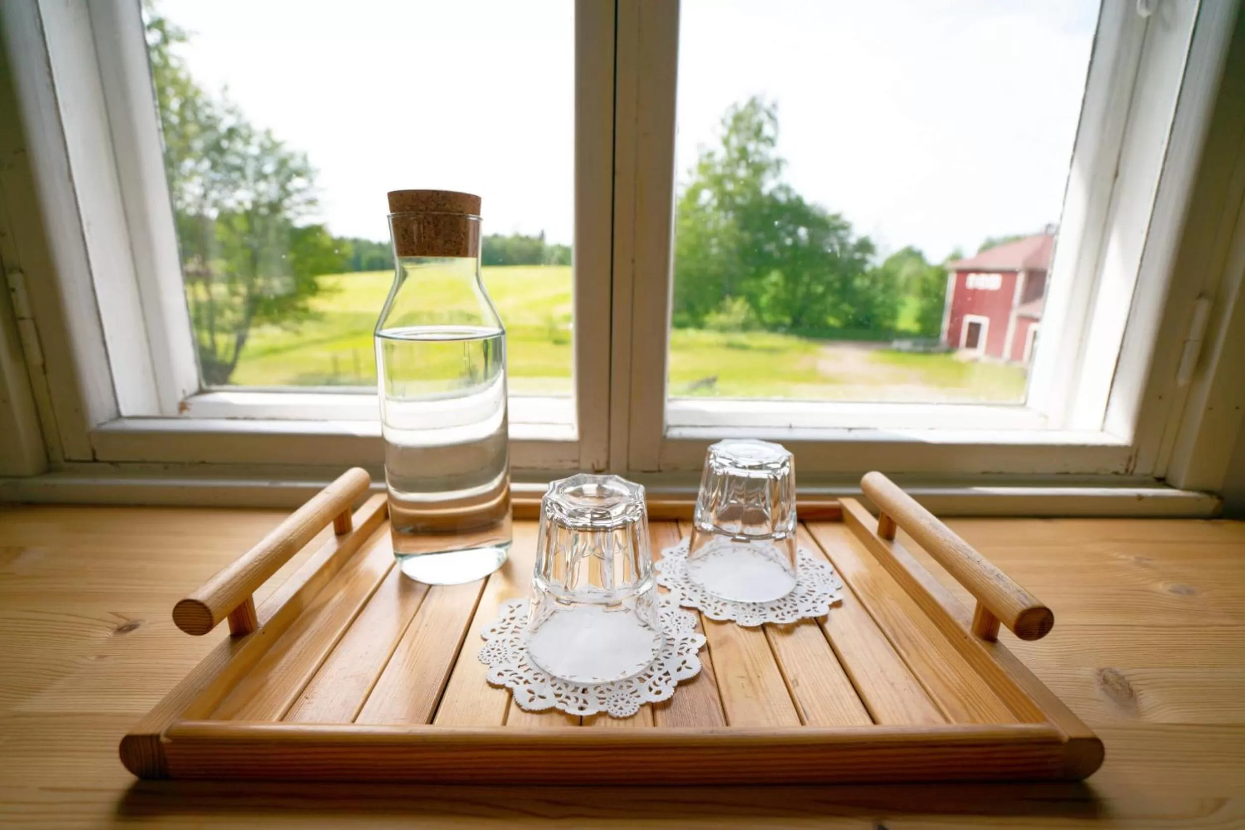 View (from property/room) in Olo Center by Kolovesi National Park