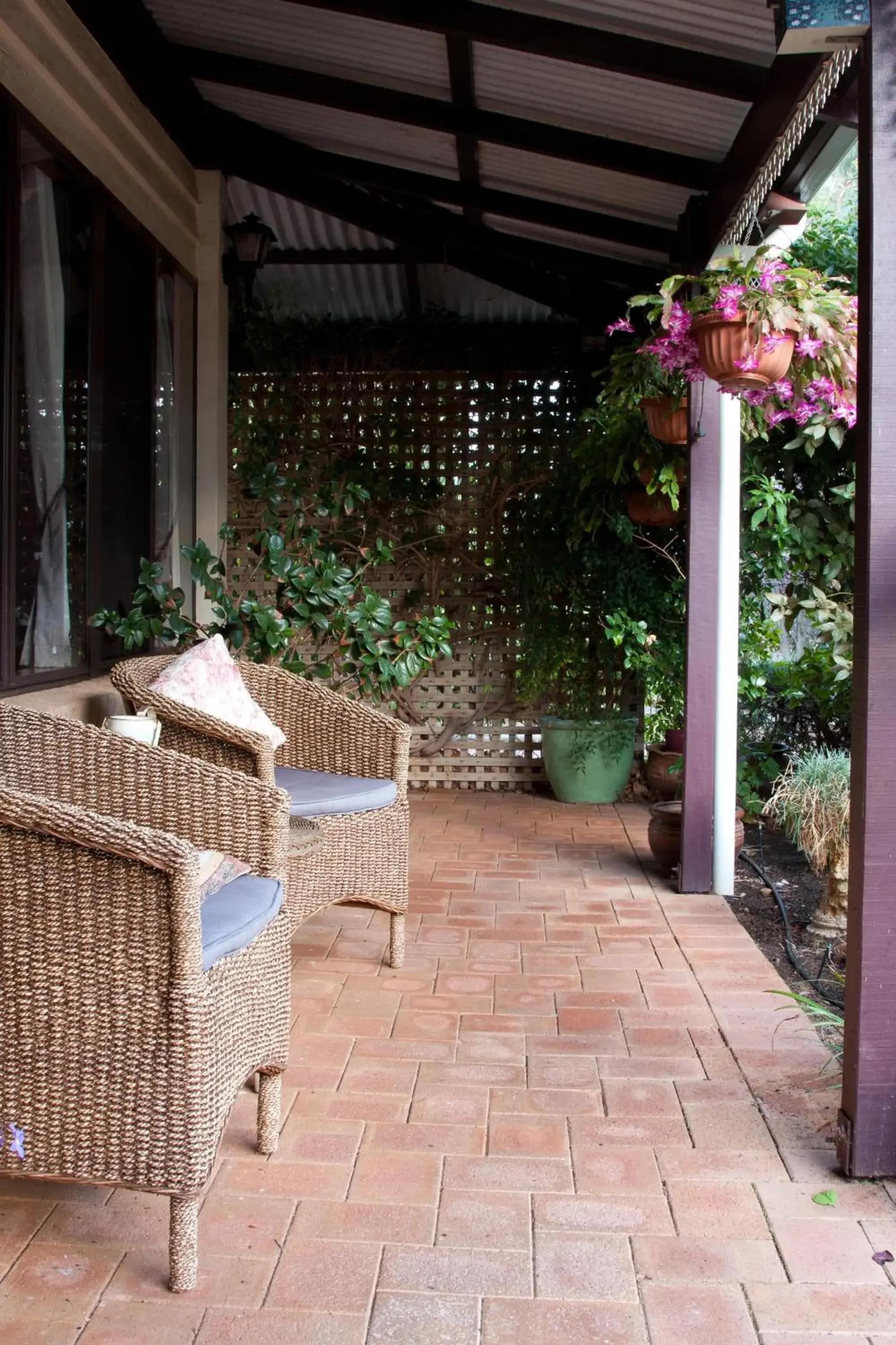 Garden in The Noble Grape Guesthouse