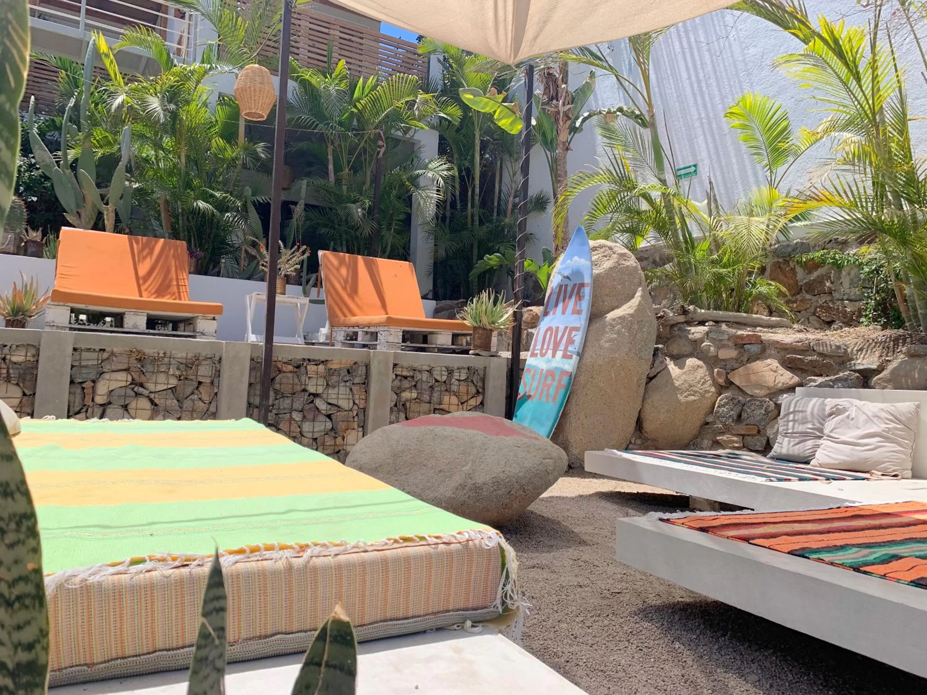 Area and facilities in Perro Surfero Hotel