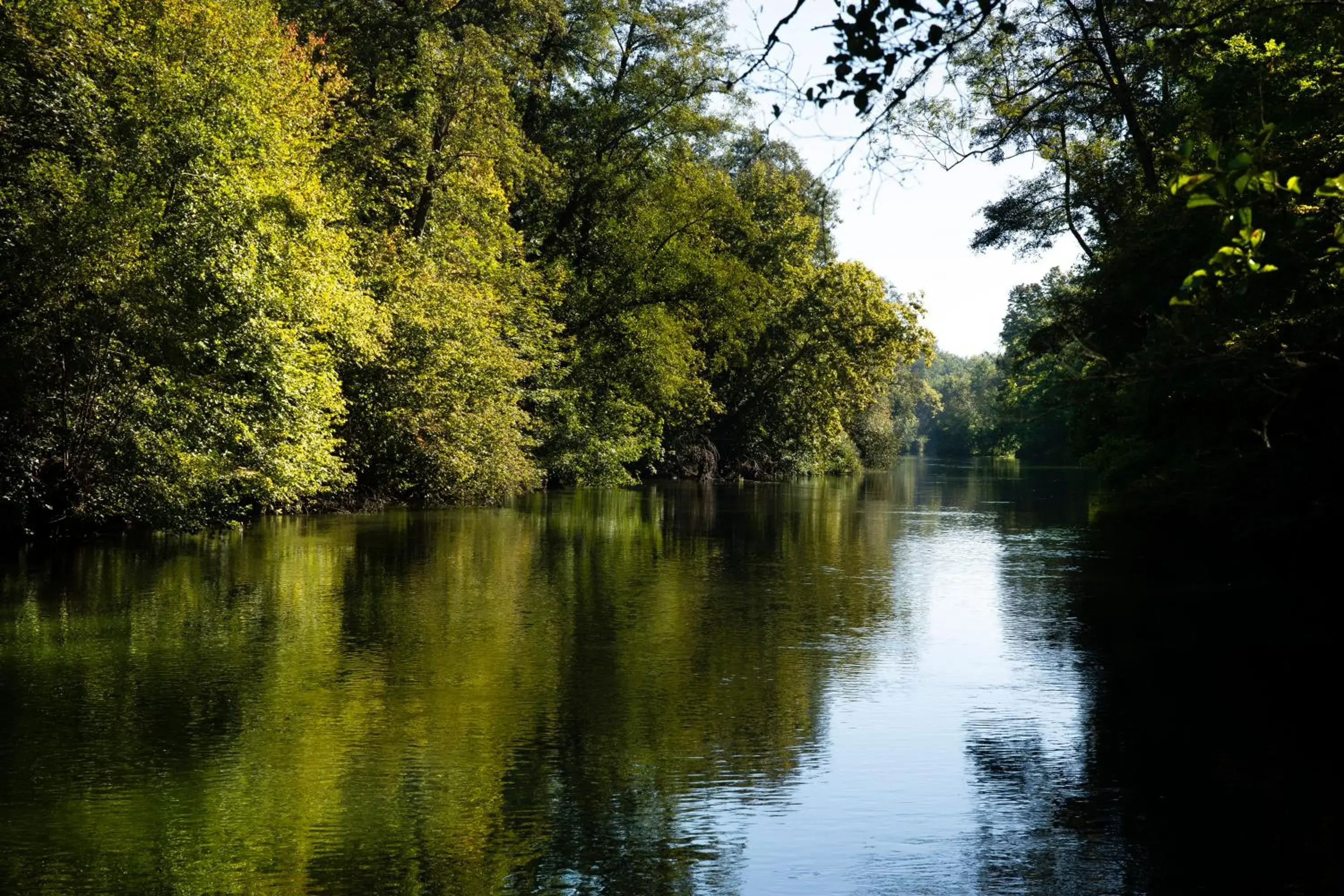 Natural landscape, Lake View in Hôtel & Spa Château de l'ile