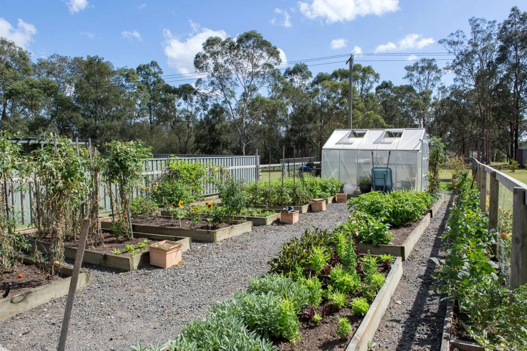 Garden in Hermitage Lodge