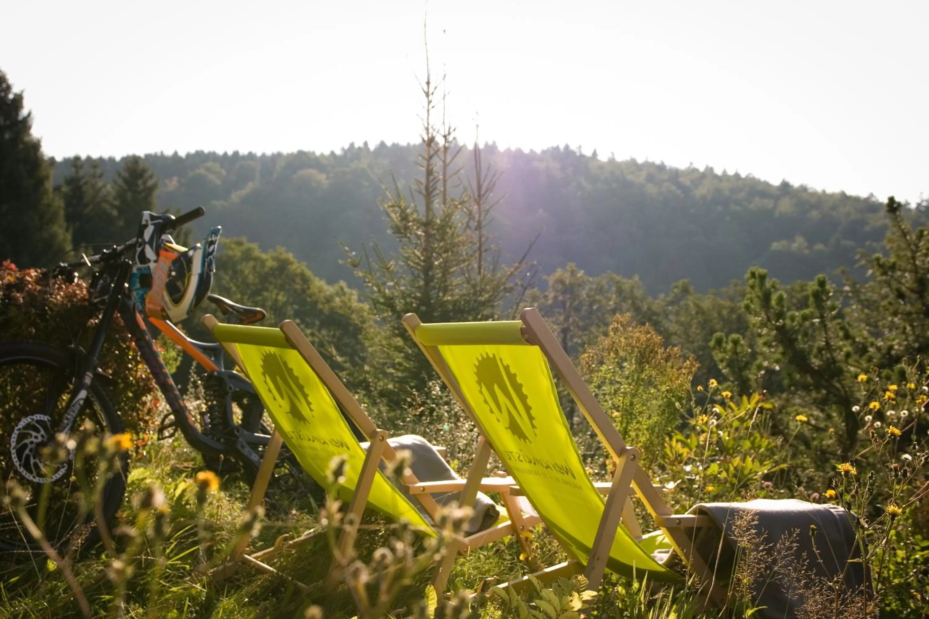 Garden in Harz BnB Werkmeister