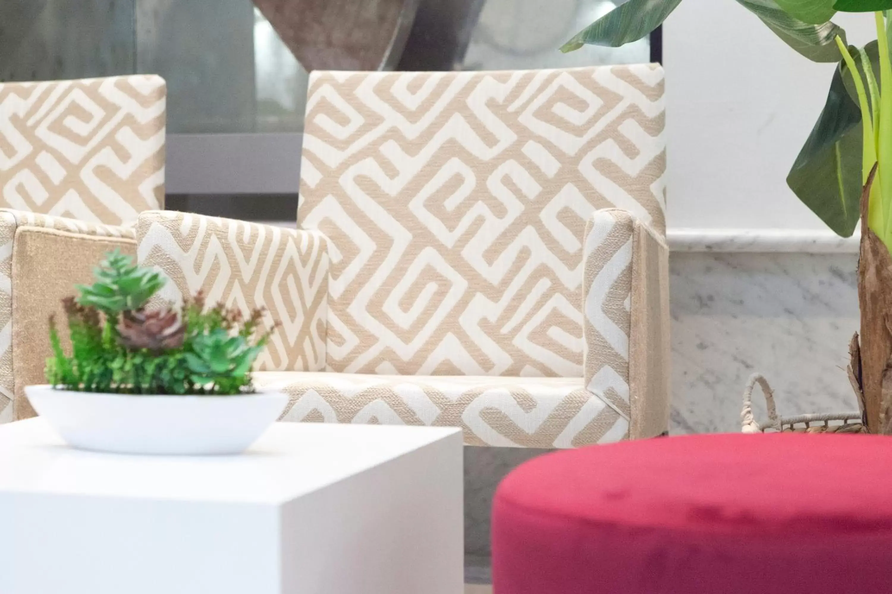 Lobby or reception in Petit Palace Santa Cruz Lobby or reception in Petit Palace Santa Cruz