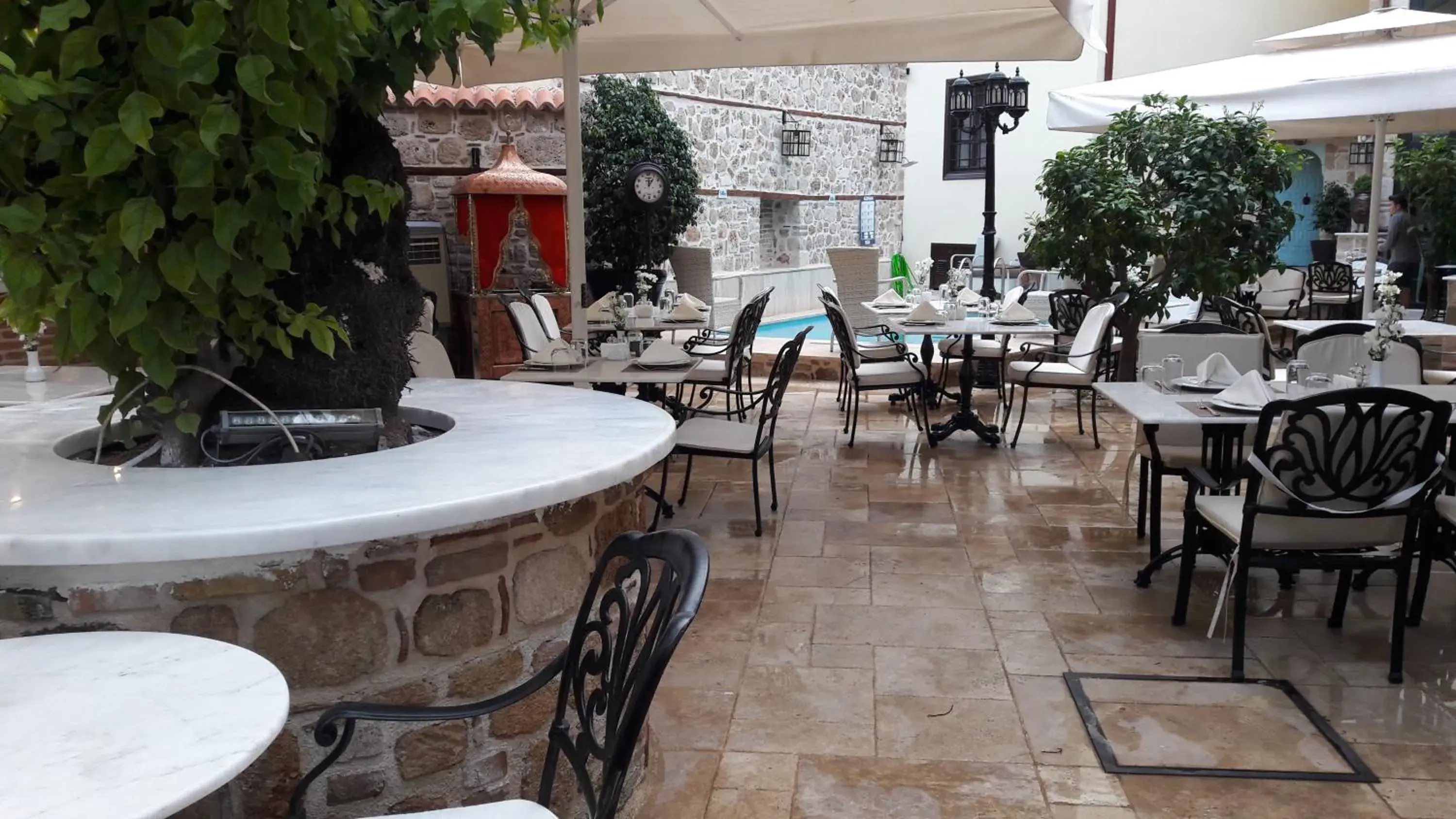 Garden, Restaurant/Places to Eat in Hotel 1207