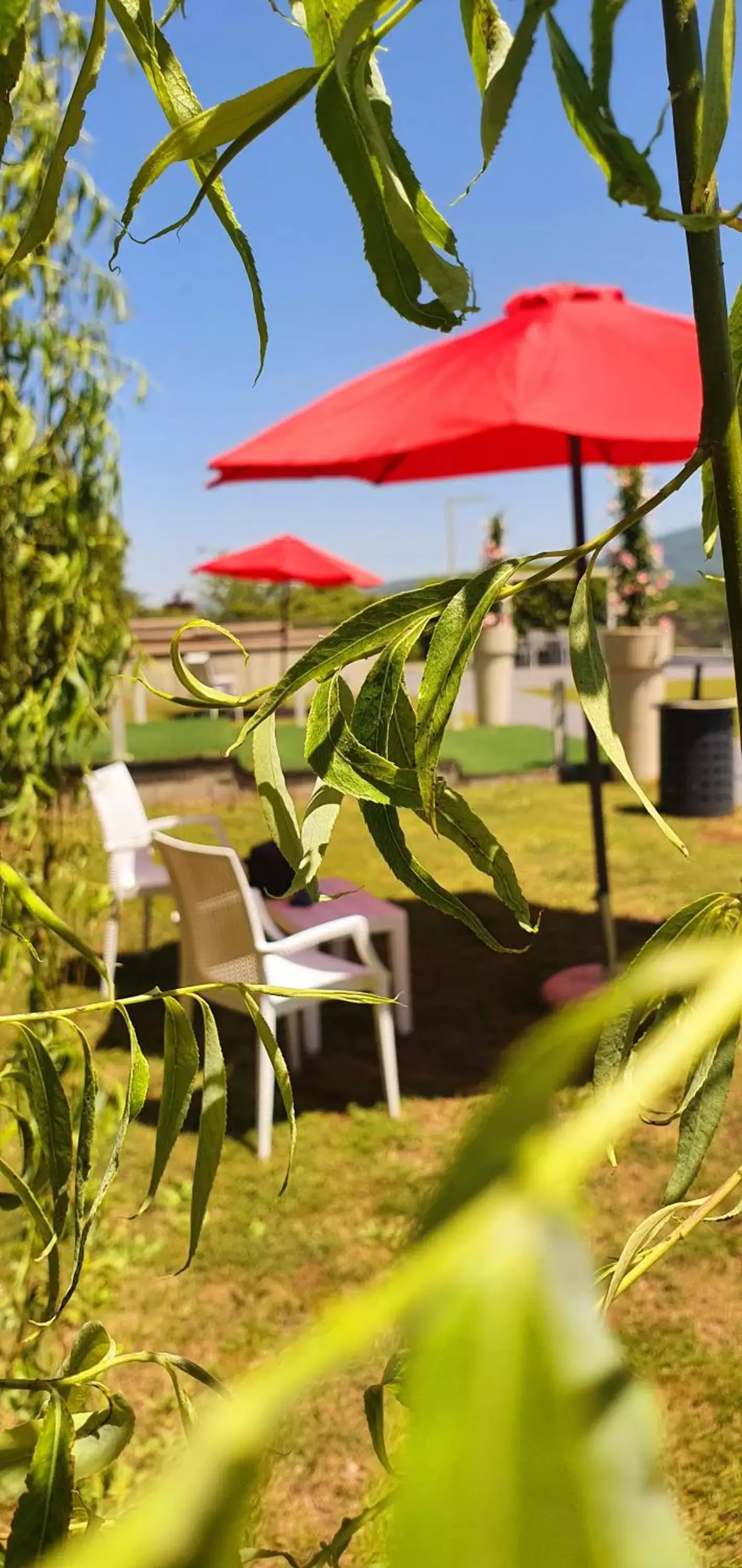 Garden in Sotto Il Cielo Hotel