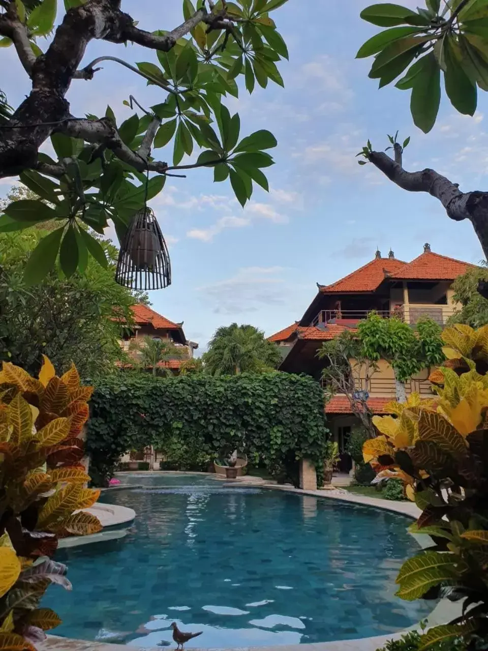 Swimming pool in Kusnadi Hotel Swimming pool in Kusnadi Hotel