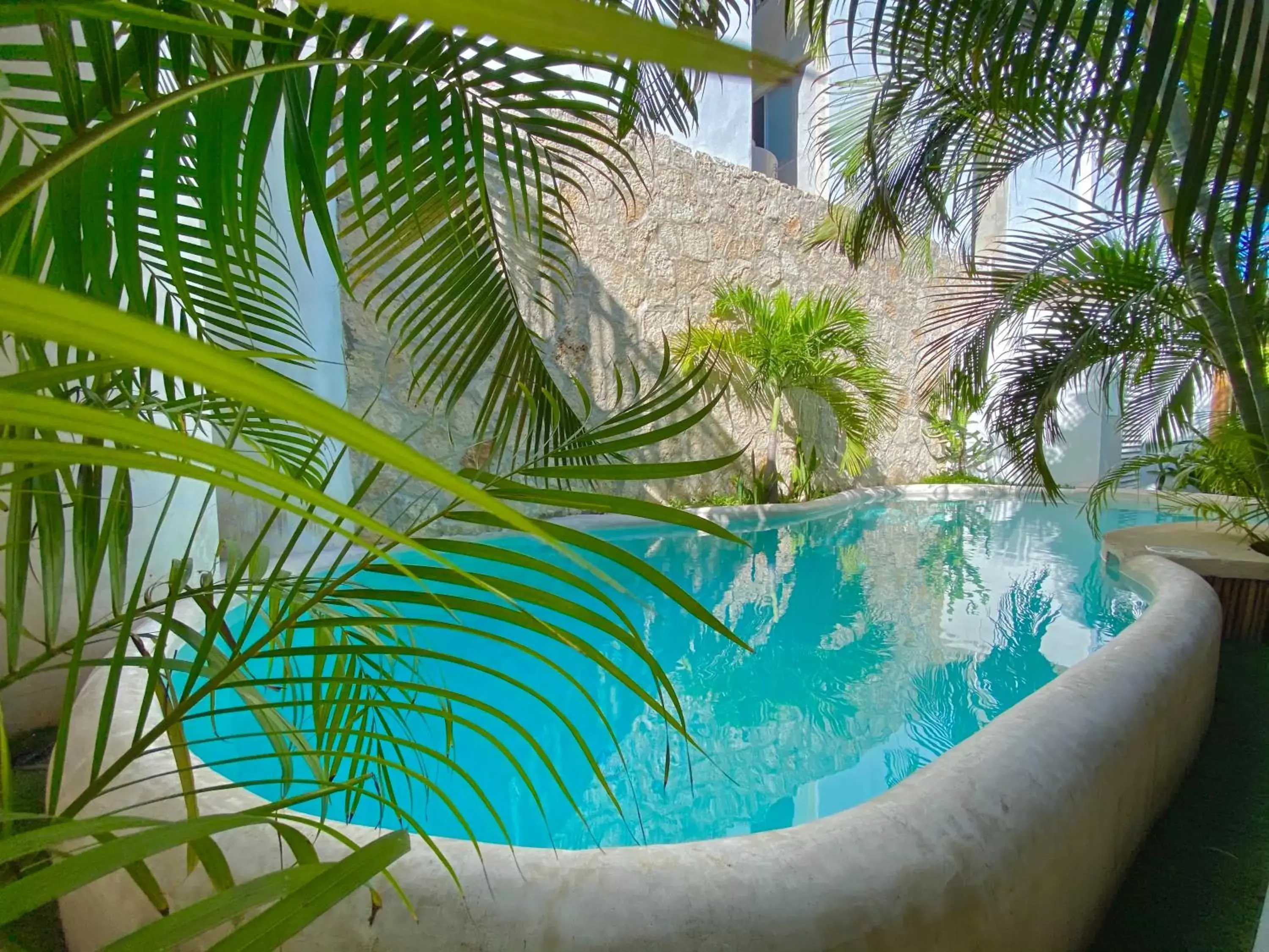 Pool view, Swimming Pool in Pacha Tulum Boutique Hotel
