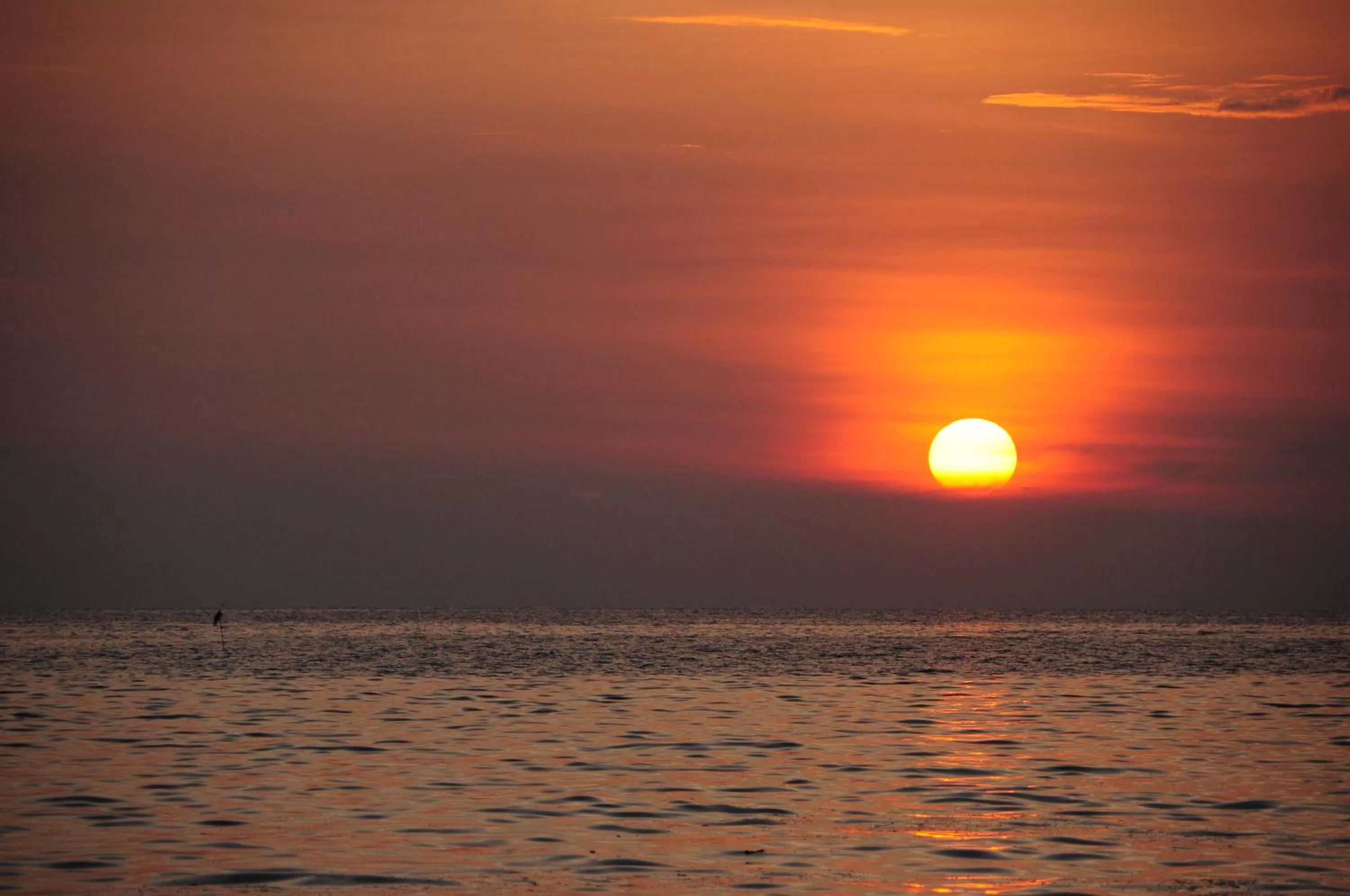 View (from property/room) in Medee Resort