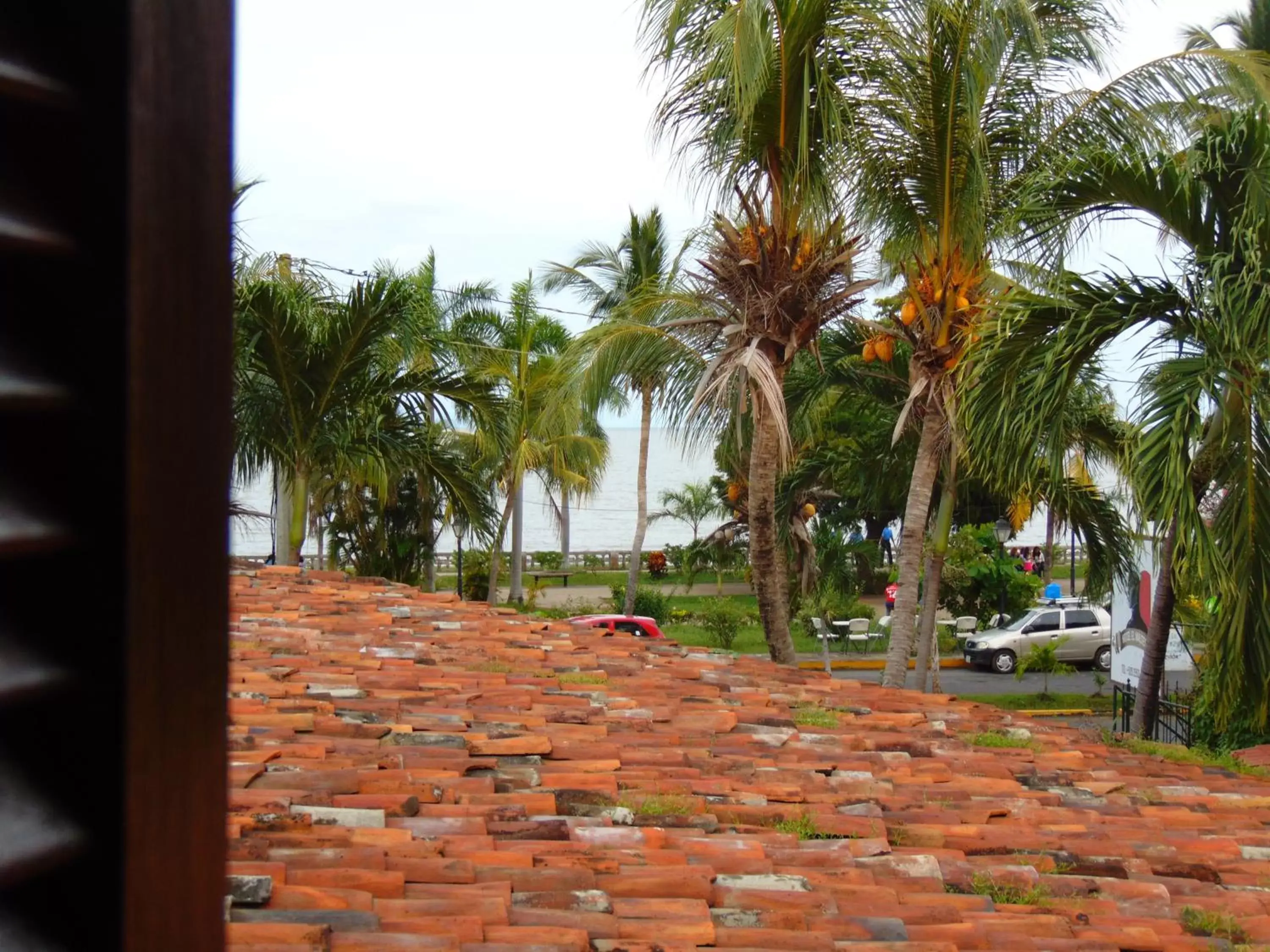 Beach, Garden in Hotel El Maltese