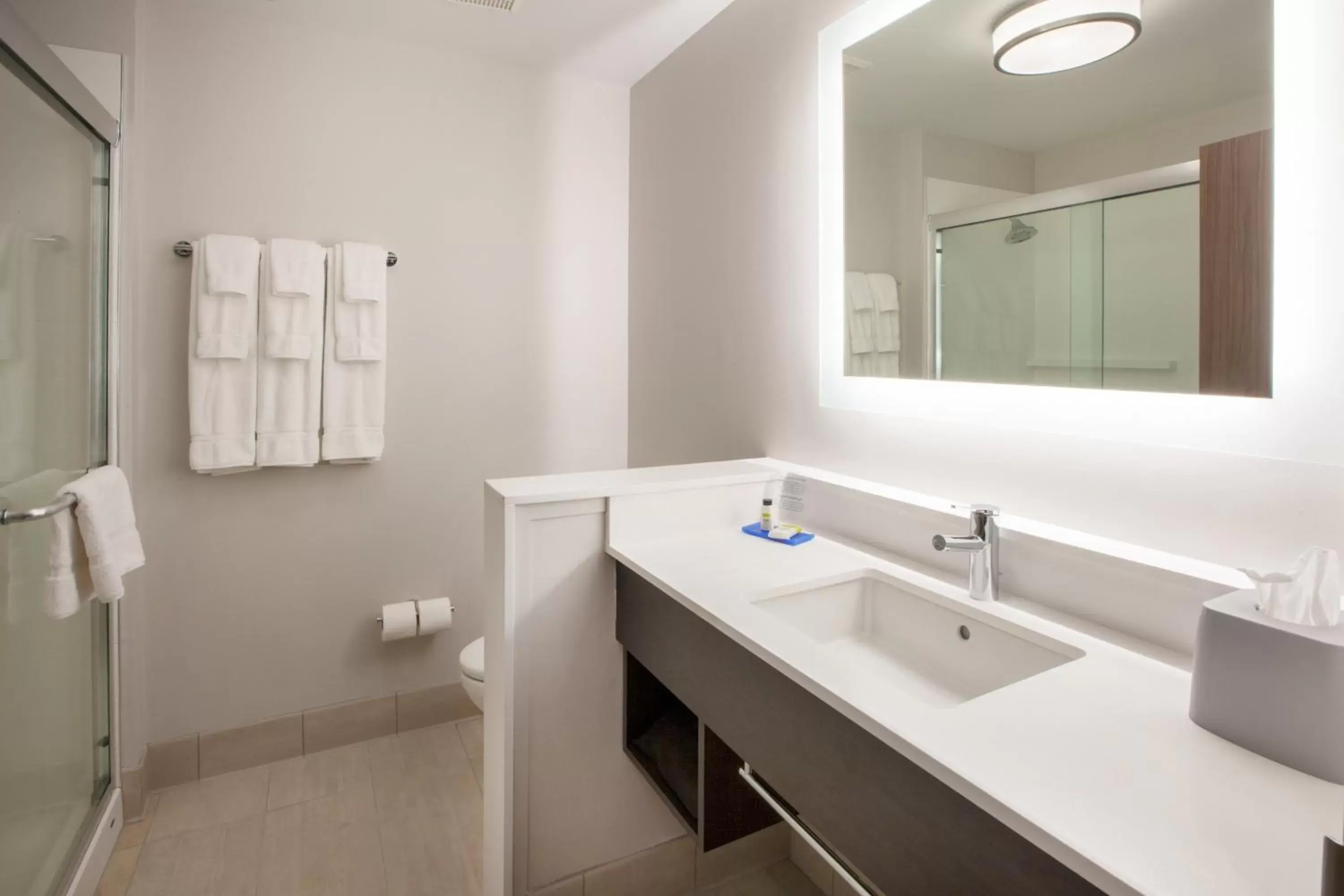Photo of the whole room, Bathroom in Holiday Inn Express & Suites - Dallas Market Center, an IHG Hotel