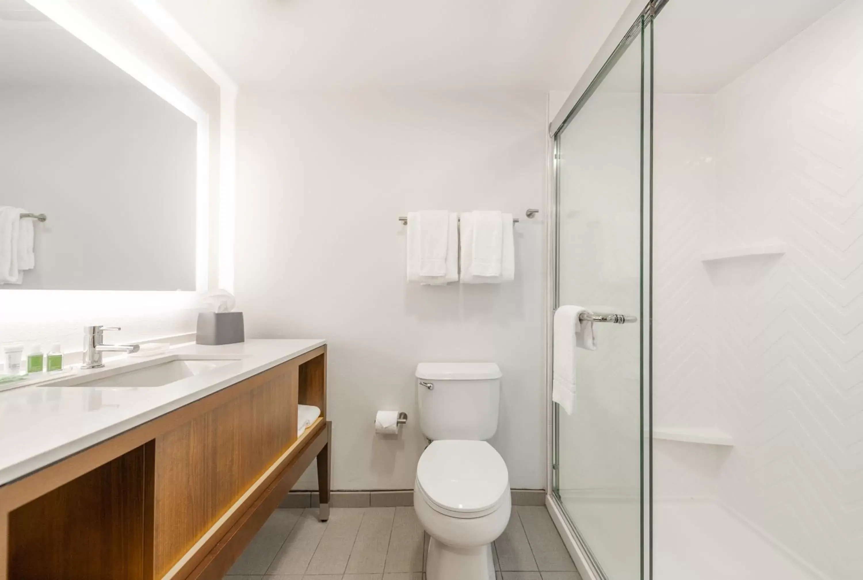 Bathroom in Holiday Inn Hotel & Suites - Orange Park - Wells Rd.