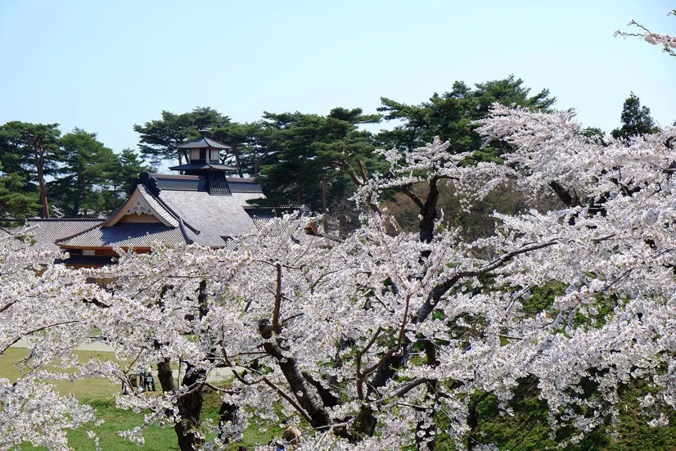 Nearby landmark, Property Building in Hanabishi Hotel